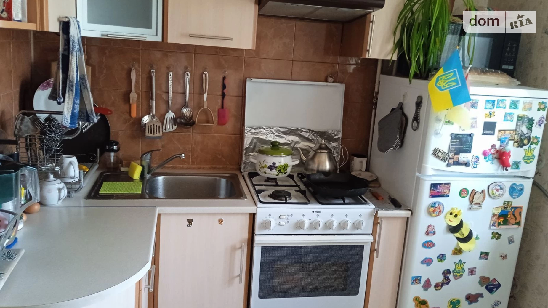 Продается 1-комнатная квартира 29.2 кв. м в Набережном, ул. Елисеева, 12 - фото 4
