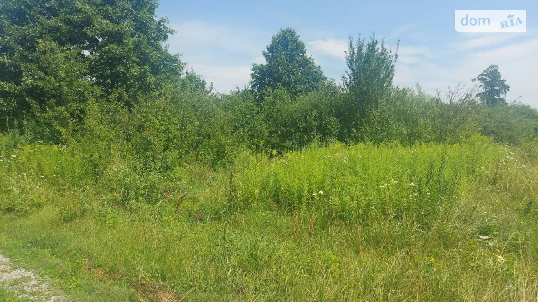 Продається земельна ділянка 18 соток у Житомирській області, цена: 9500 $ - фото 3