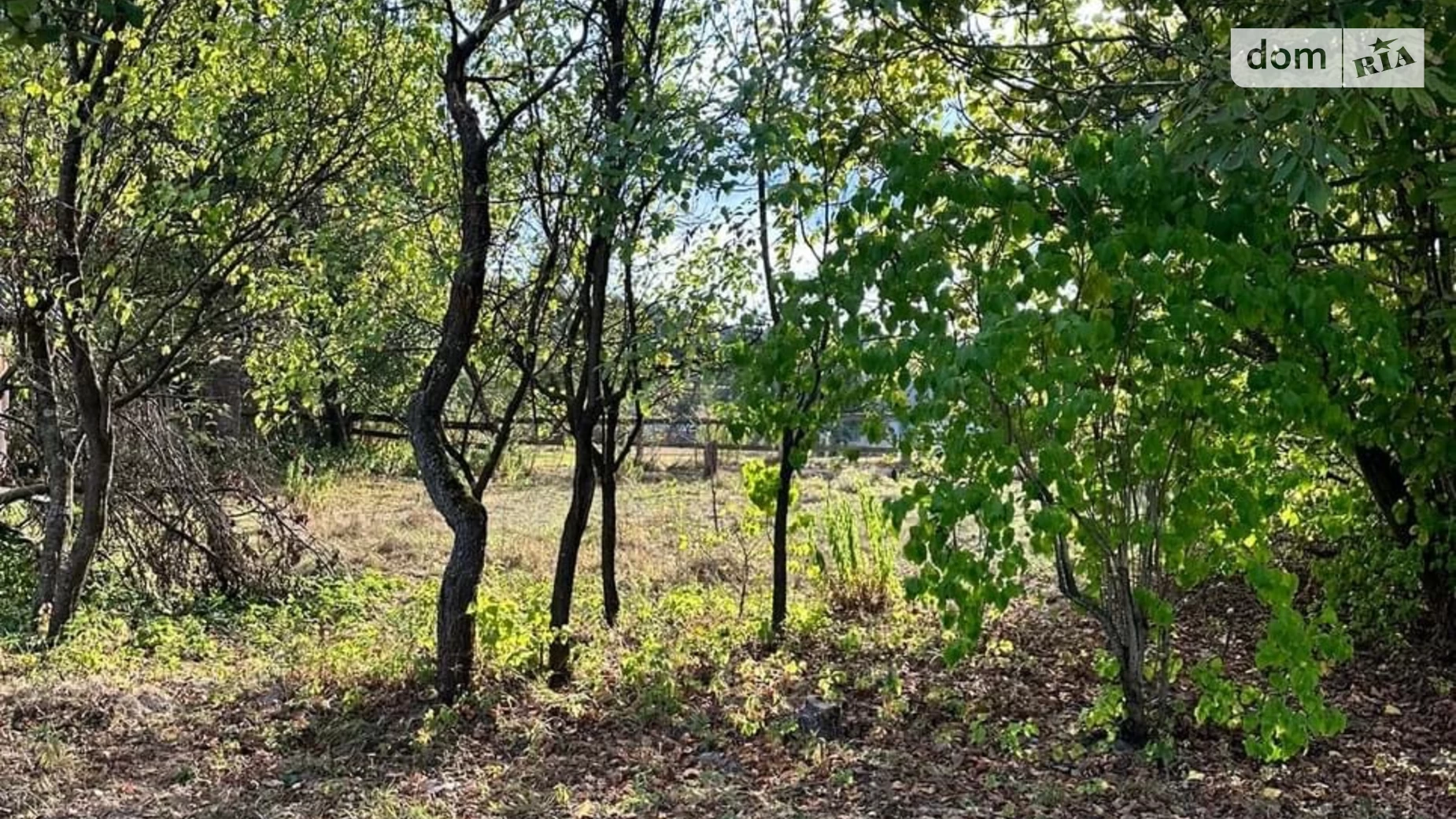 Продается одноэтажный дом 57 кв. м с подвалом, цена: 6000 $ - фото 4