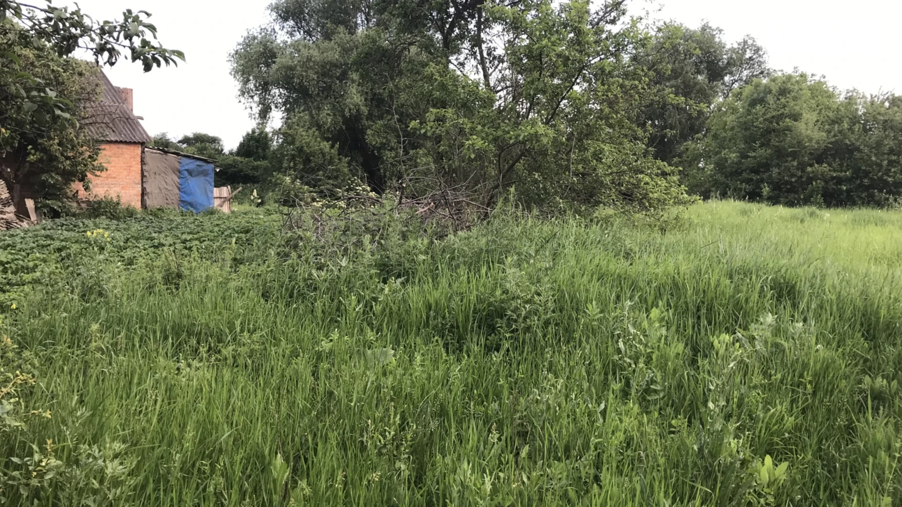 Продается земельный участок 15 соток в  области, цена: 8000 $ - фото 2