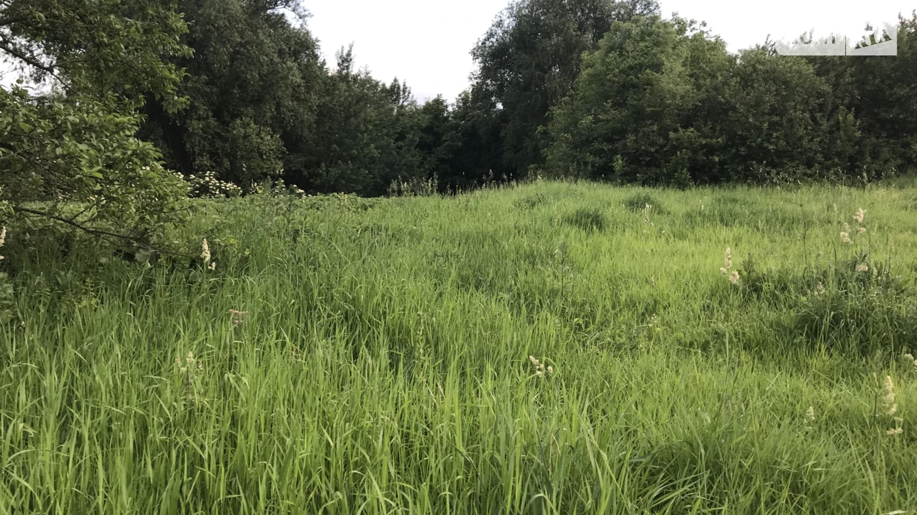 Продается земельный участок 15 соток в  области, цена: 8000 $ - фото 3