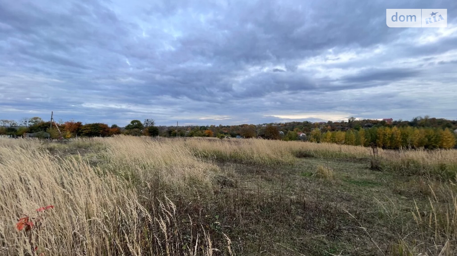 ул. Городня Лесовые Гриновцы, цена: 5000 $ - фото 3