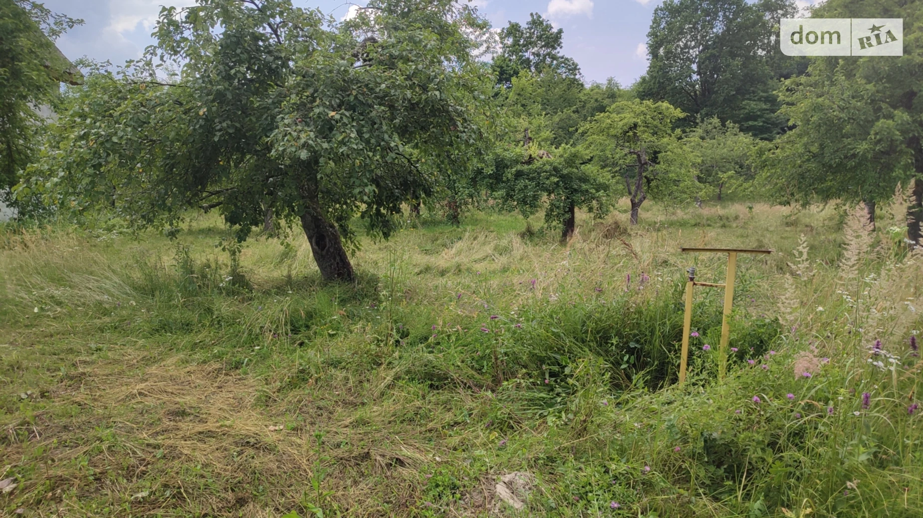 Модьорош, цена: 11000 $ - фото 2