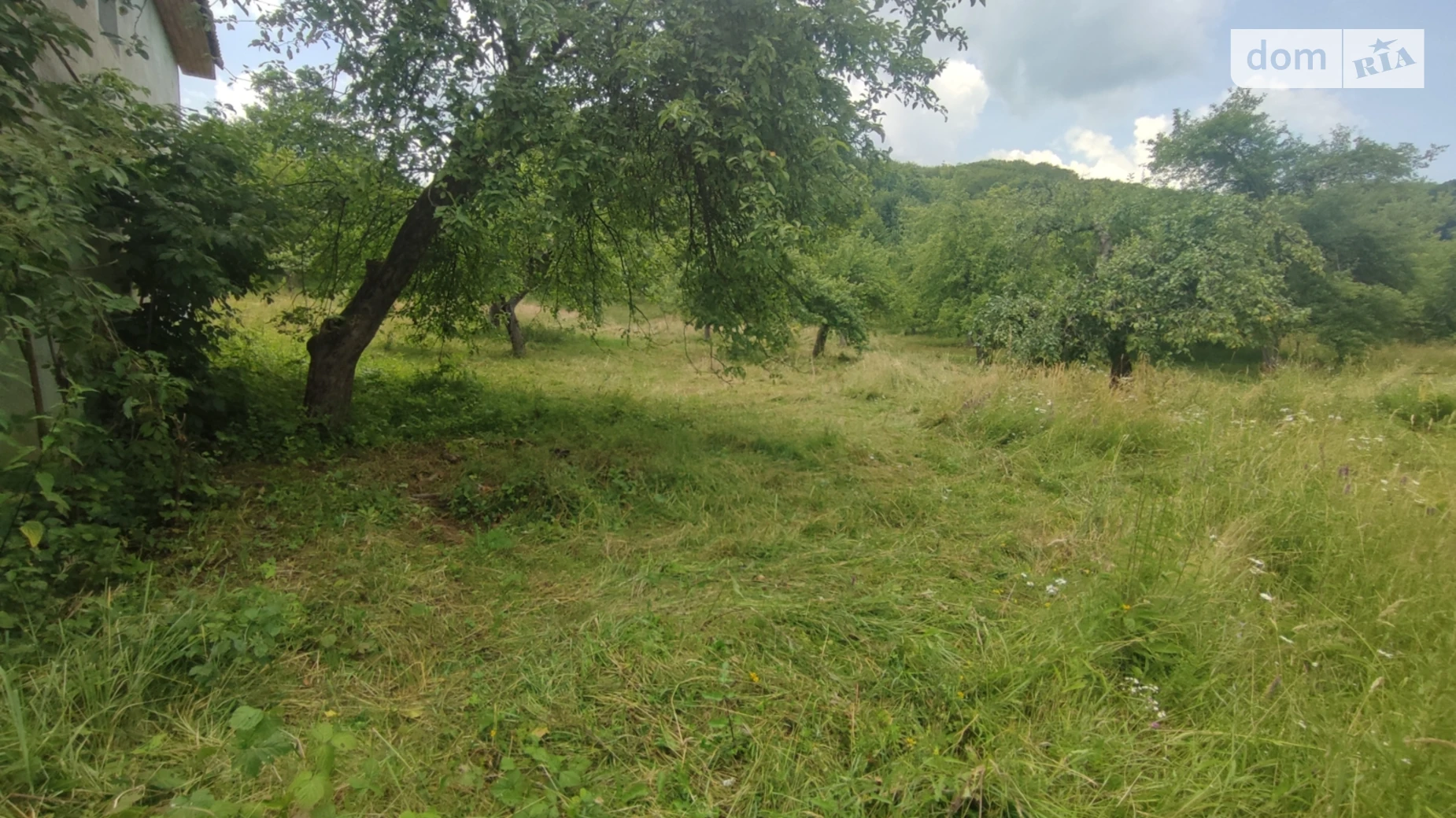 Модьорош, цена: 11000 $ - фото 3