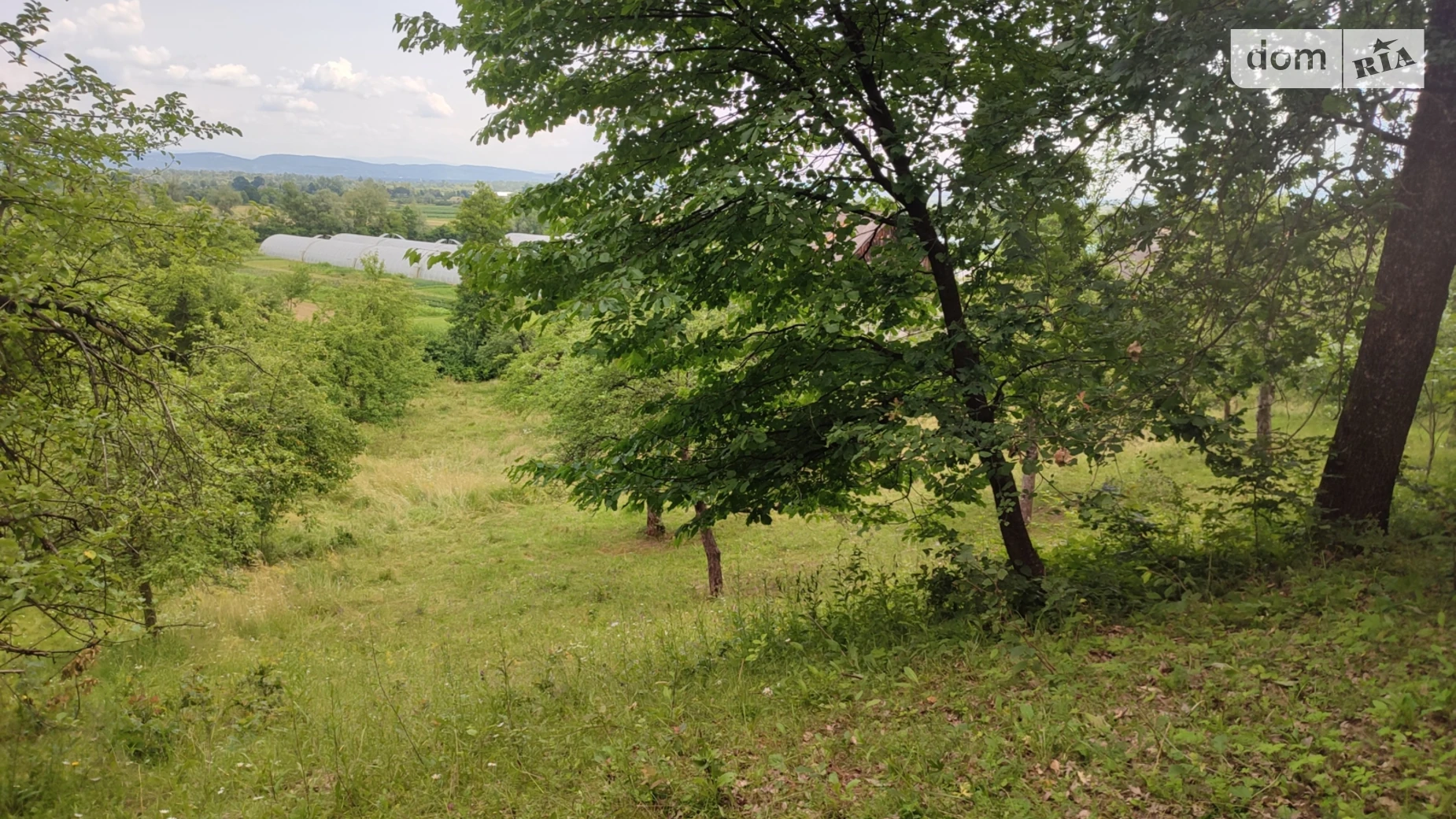 Модьорош, цена: 11000 $ - фото 4