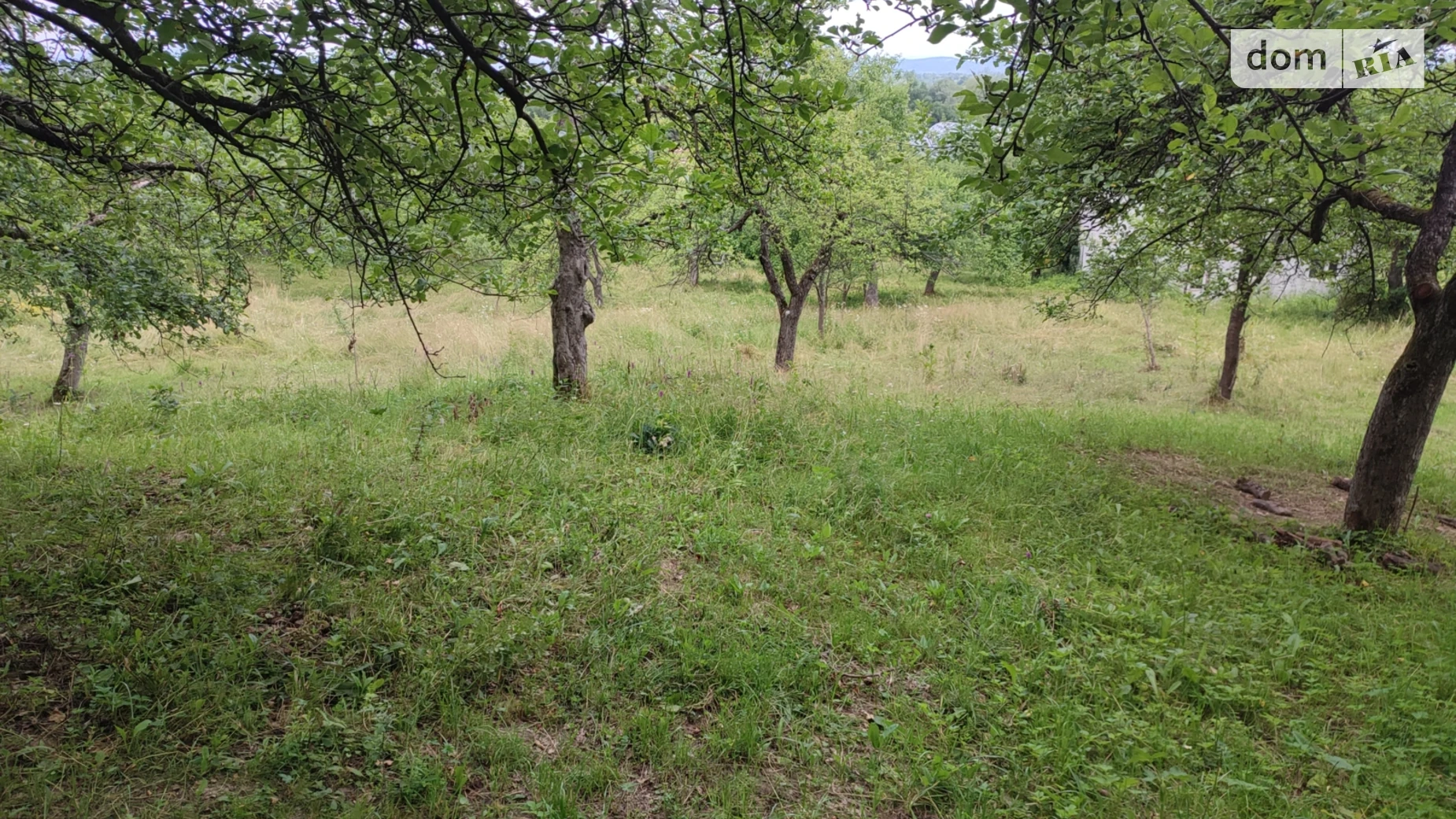 Модьорош, цена: 11000 $ - фото 5