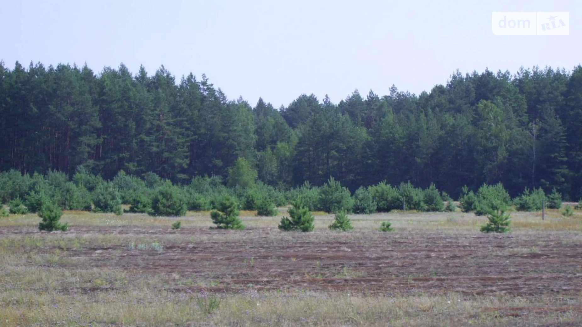 Абрамовка (Вышгород), цена: 47050 $ - фото 3