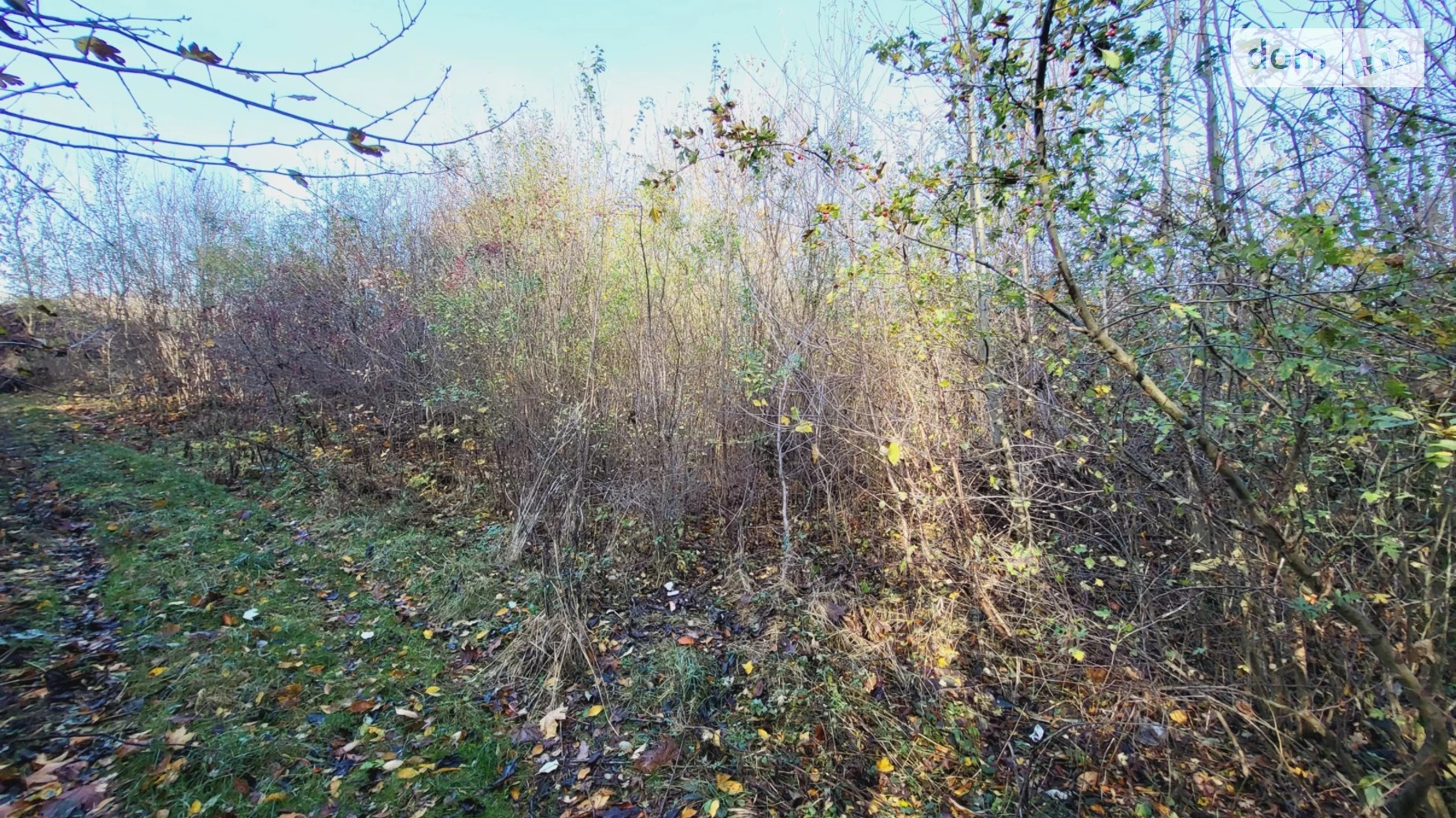 Бохоники, цена: 15000 $ - фото 5