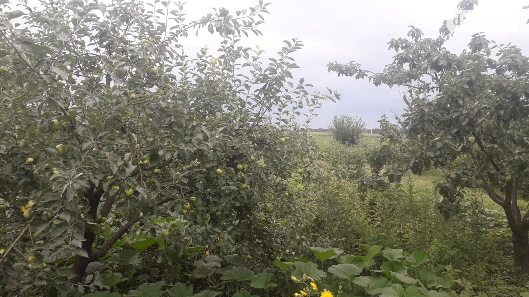Продається одноповерховий будинок 64 кв. м з балконом, цена: 10000 $ - фото 4