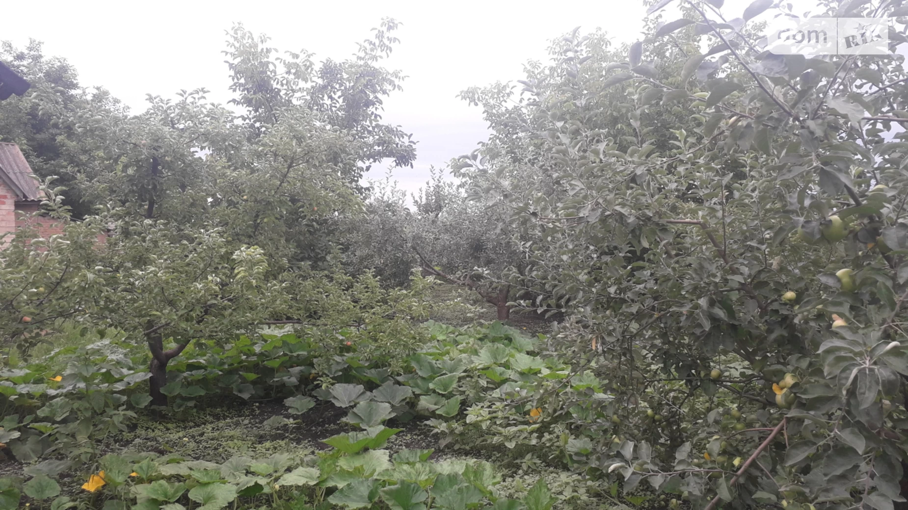 Продається одноповерховий будинок 64 кв. м з балконом, цена: 10000 $ - фото 5