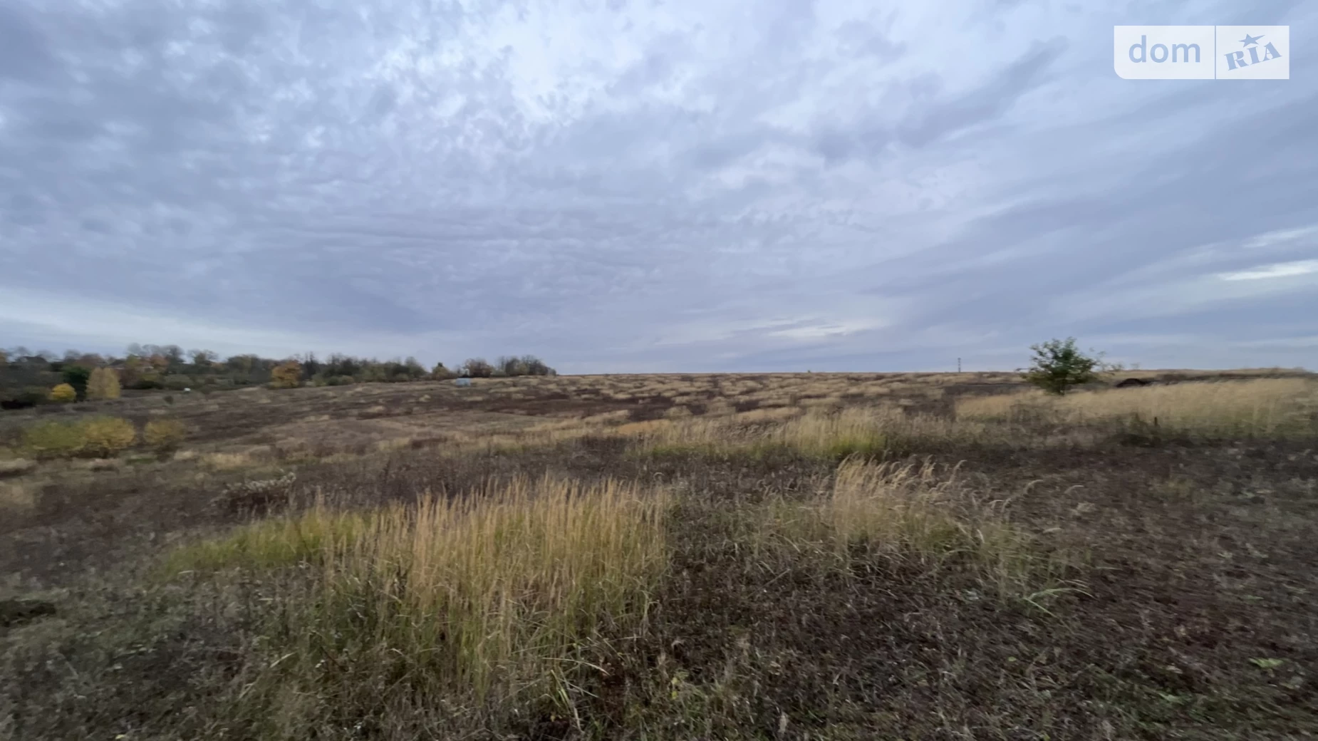 ул. Лесная Лесовые Гриновцы, цена: 5000 $ - фото 3