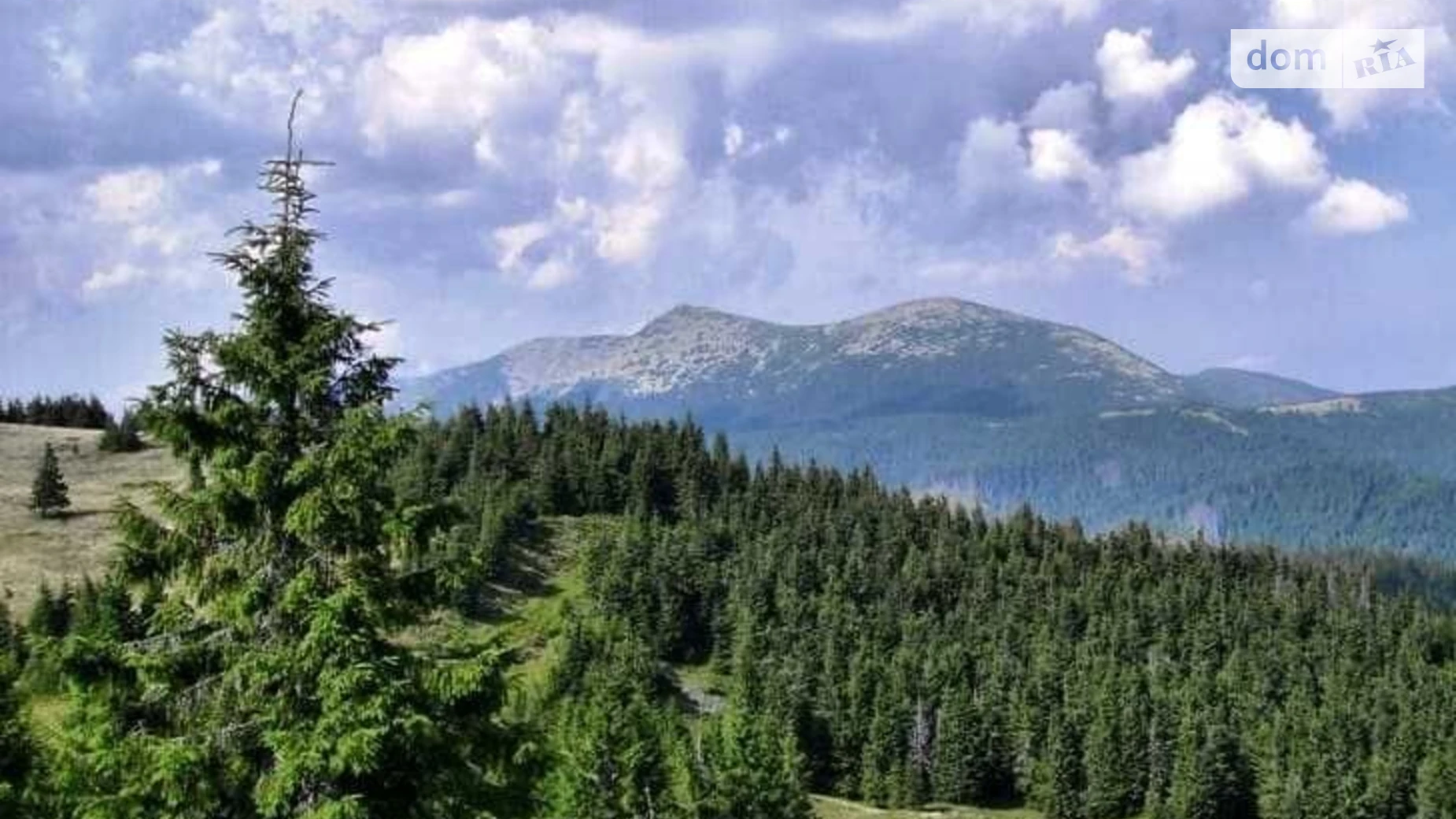 Продается земельный участок 12 соток в Ивано-Франковской области, цена: 50000 $ - фото 4