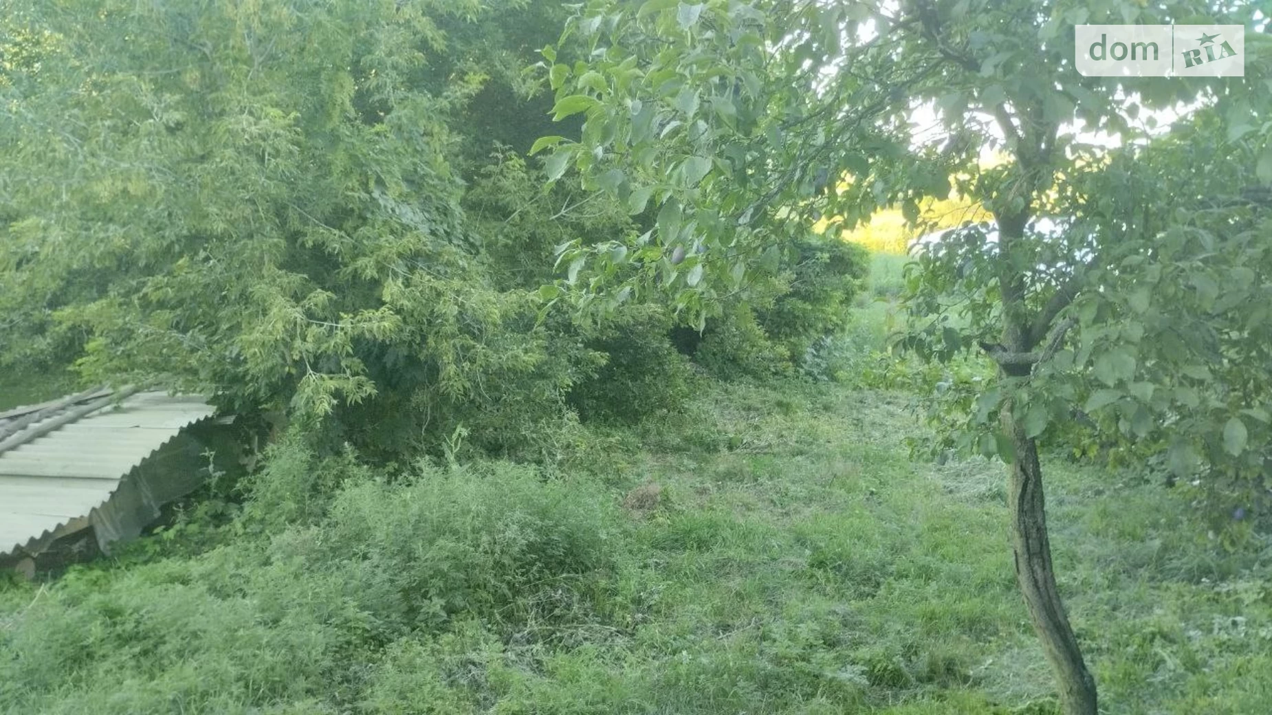 ул. Александра Найды(Куйбышева) Чигирин, цена: 29000 грн - фото 5