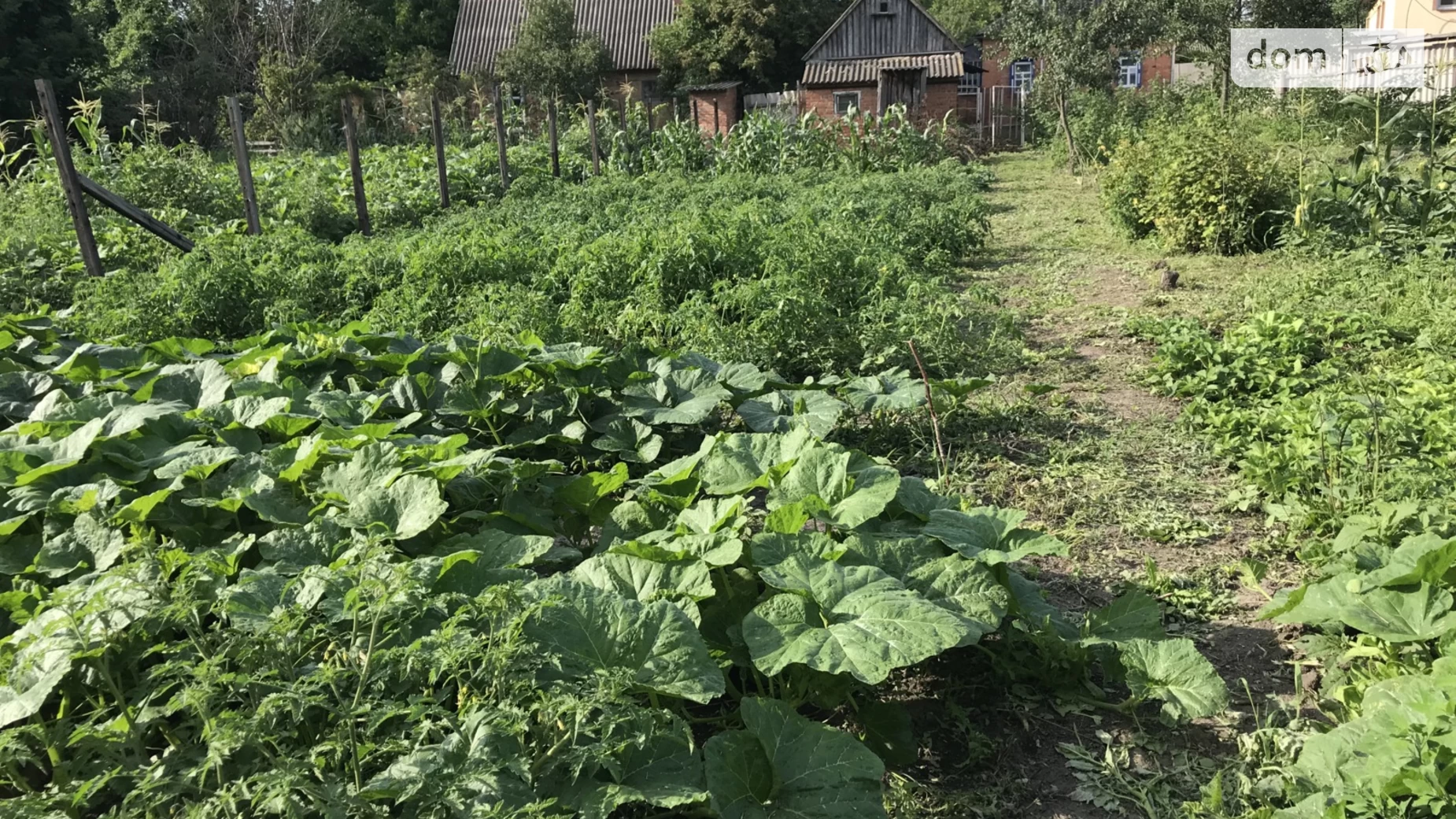 Продається одноповерховий будинок 54.4 кв. м з банею/сауною, вулиця Березова