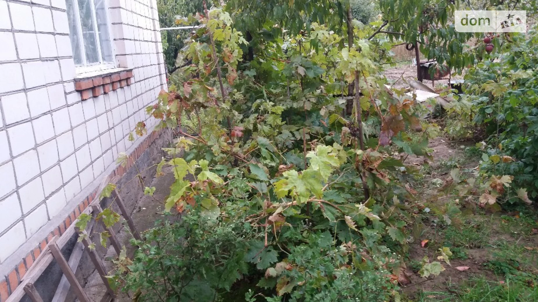 Продається одноповерховий будинок 62.6 кв. м з садом, цена: 35000 $ - фото 4