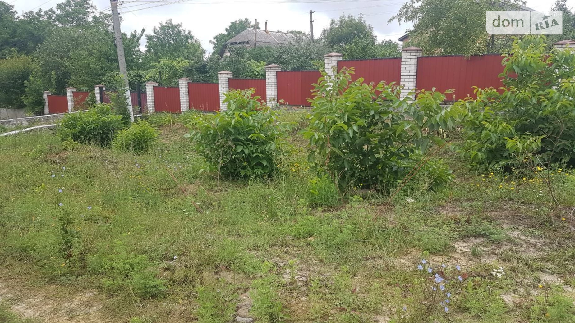 Продается одноэтажный дом 120 кв. м с бассейном, цена: 38000 $ - фото 3