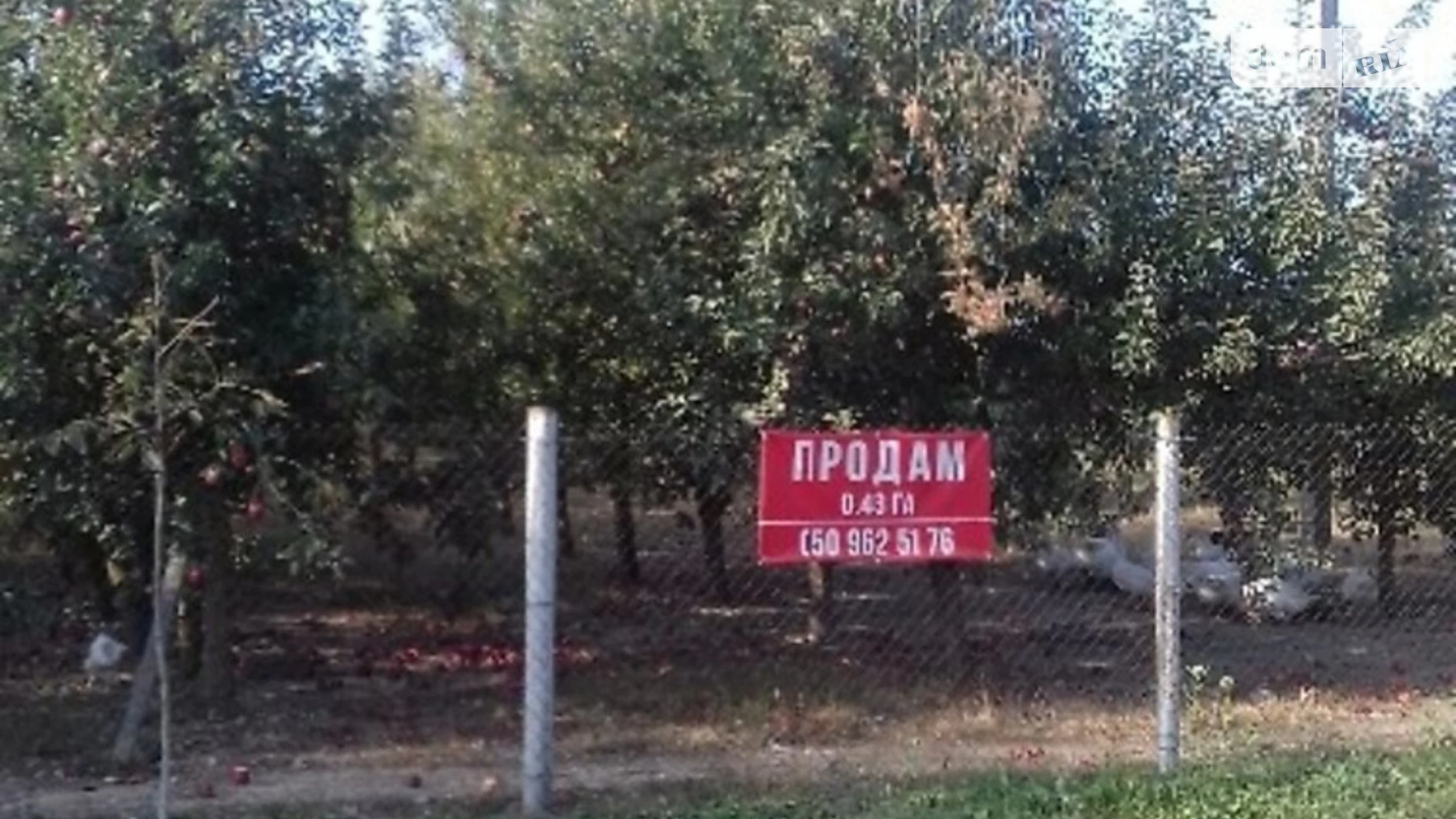 Продається земельна ділянка 43 соток у Чернівецькій області, цена: 40000 $ - фото 2