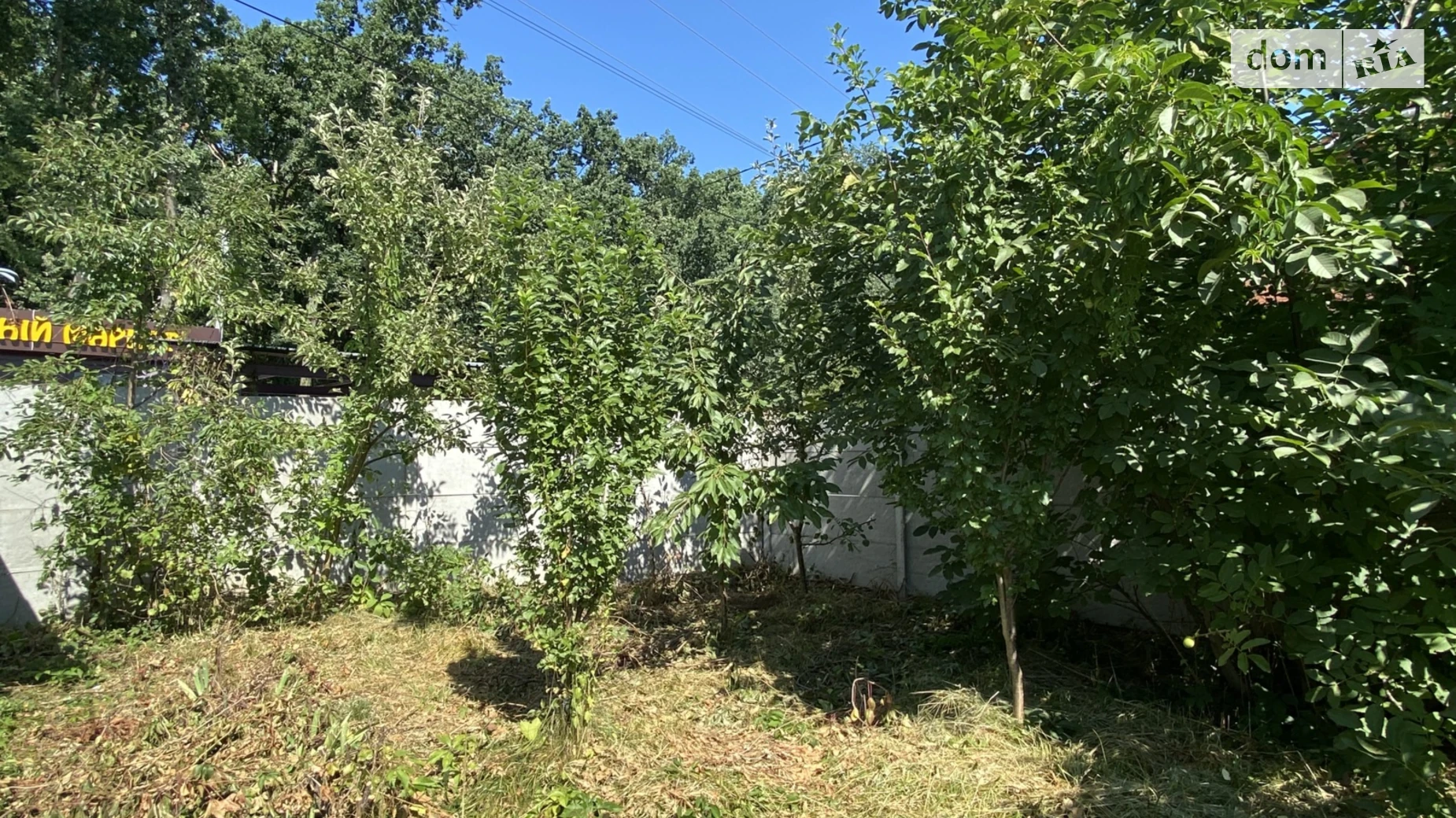 Продается земельный участок 5 соток в Винницкой области, цена: 50000 $ - фото 3