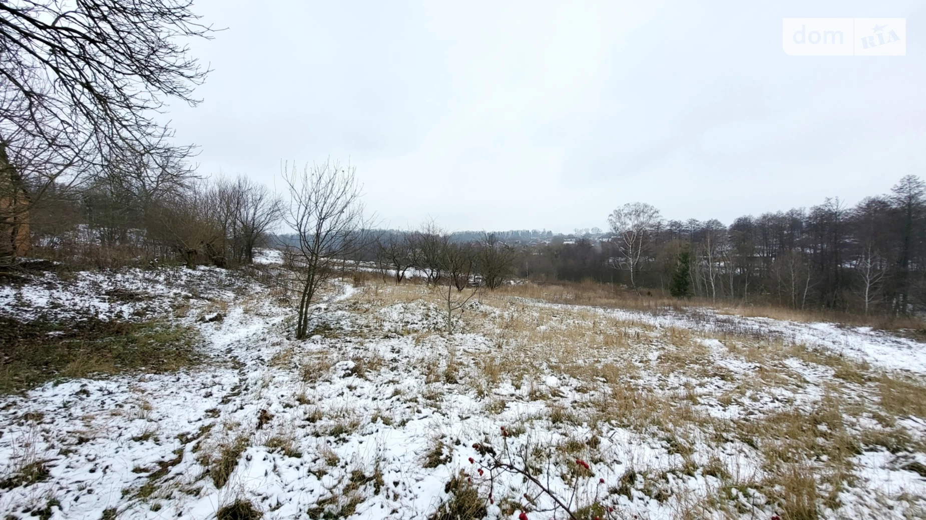 ул. Пирогова Зарванцы, цена: 65000 $ - фото 2