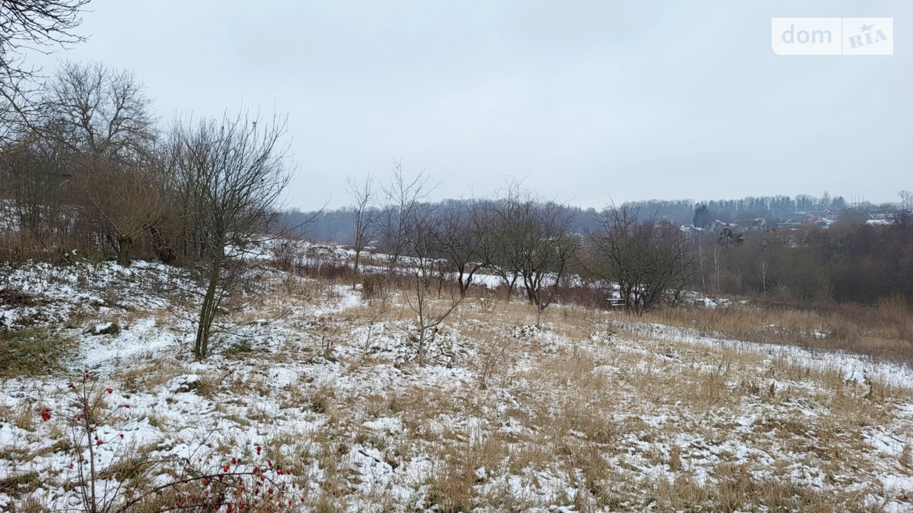 ул. Береговая(Островского) Зарванцы, цена: 65000 $ - фото 3