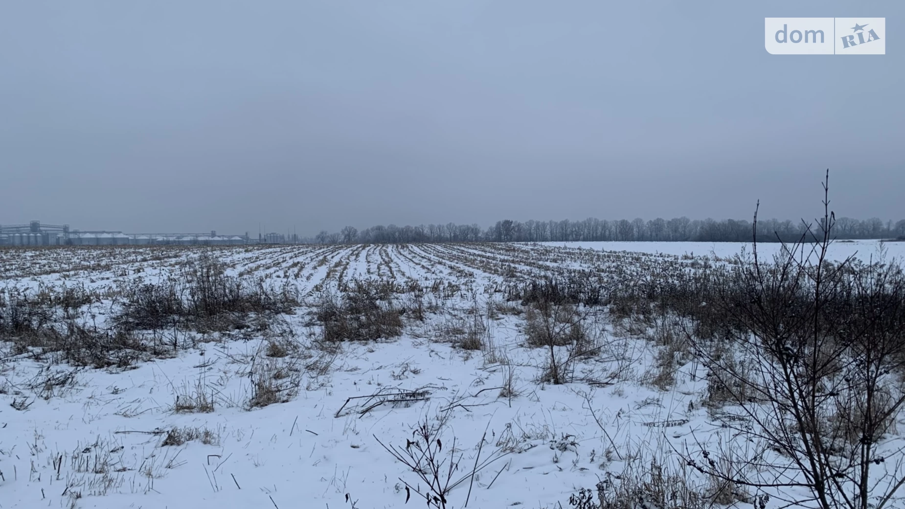 ул. Полевая Десна, цена: 30000 $ - фото 3