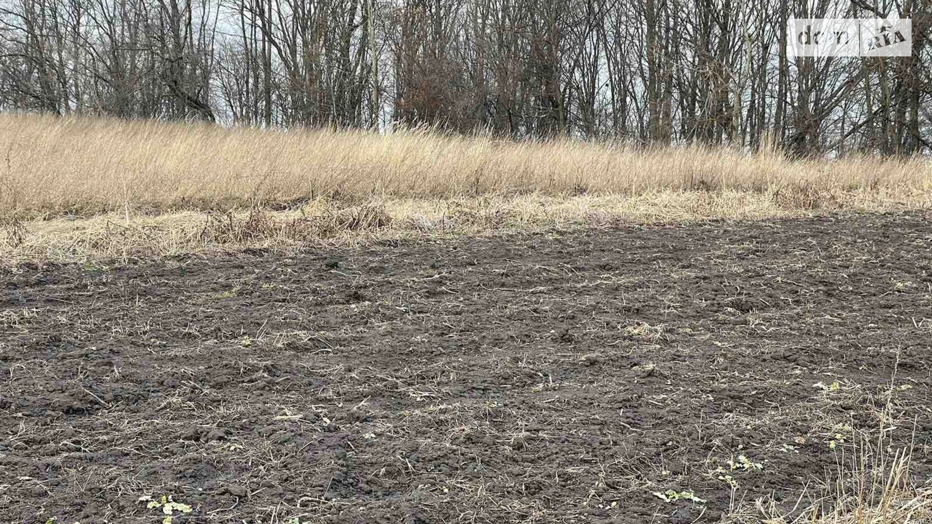 Продається земельна ділянка 10 соток у Тернопільській області, цена: 24700 $ - фото 3