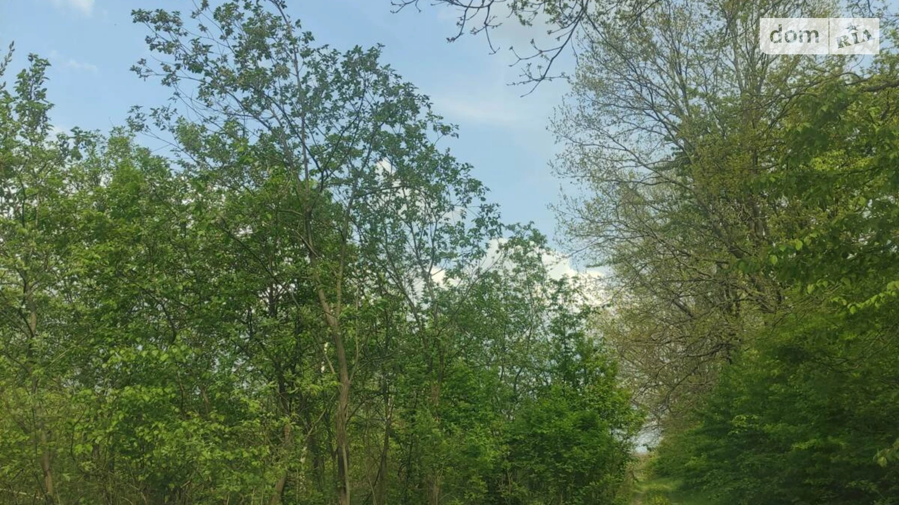 Продается земельный участок 5.5 соток в Винницкой области, цена: 9000 $ - фото 2