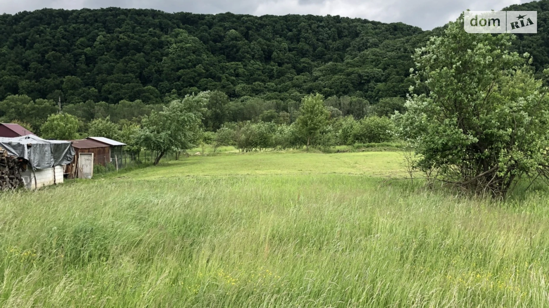 Продается земельный участок 10.41 соток в Закарпатской области, цена: 19000 $ - фото 2