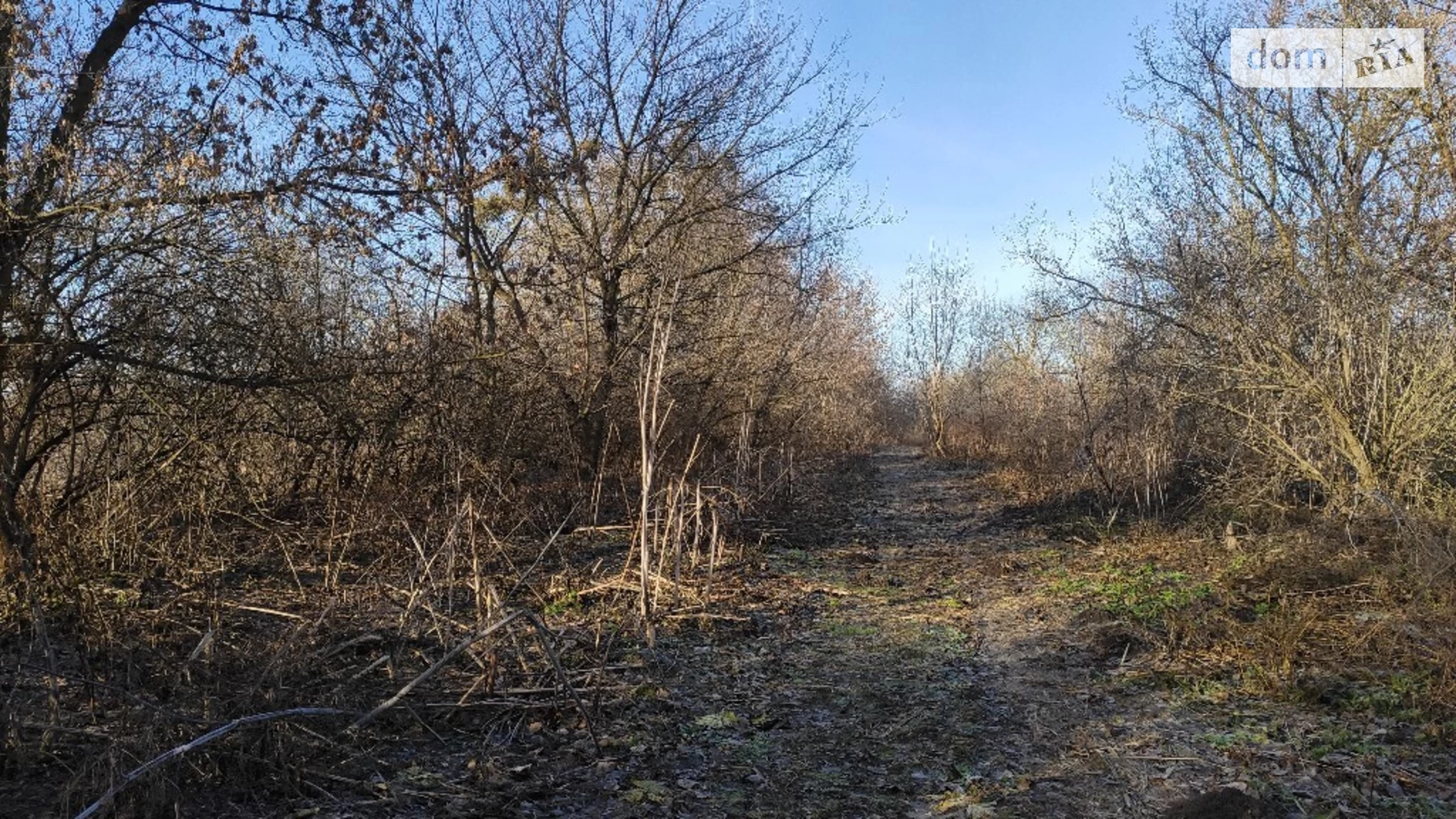 вул. Житня Копистин, цена: 7500 $ - фото 2