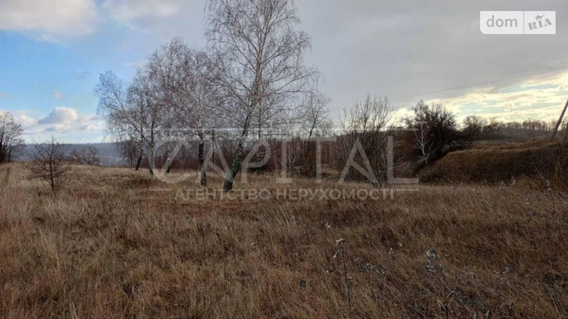 ул. Заречная Великая Бугаевка, цена: 90000 $ - фото 3
