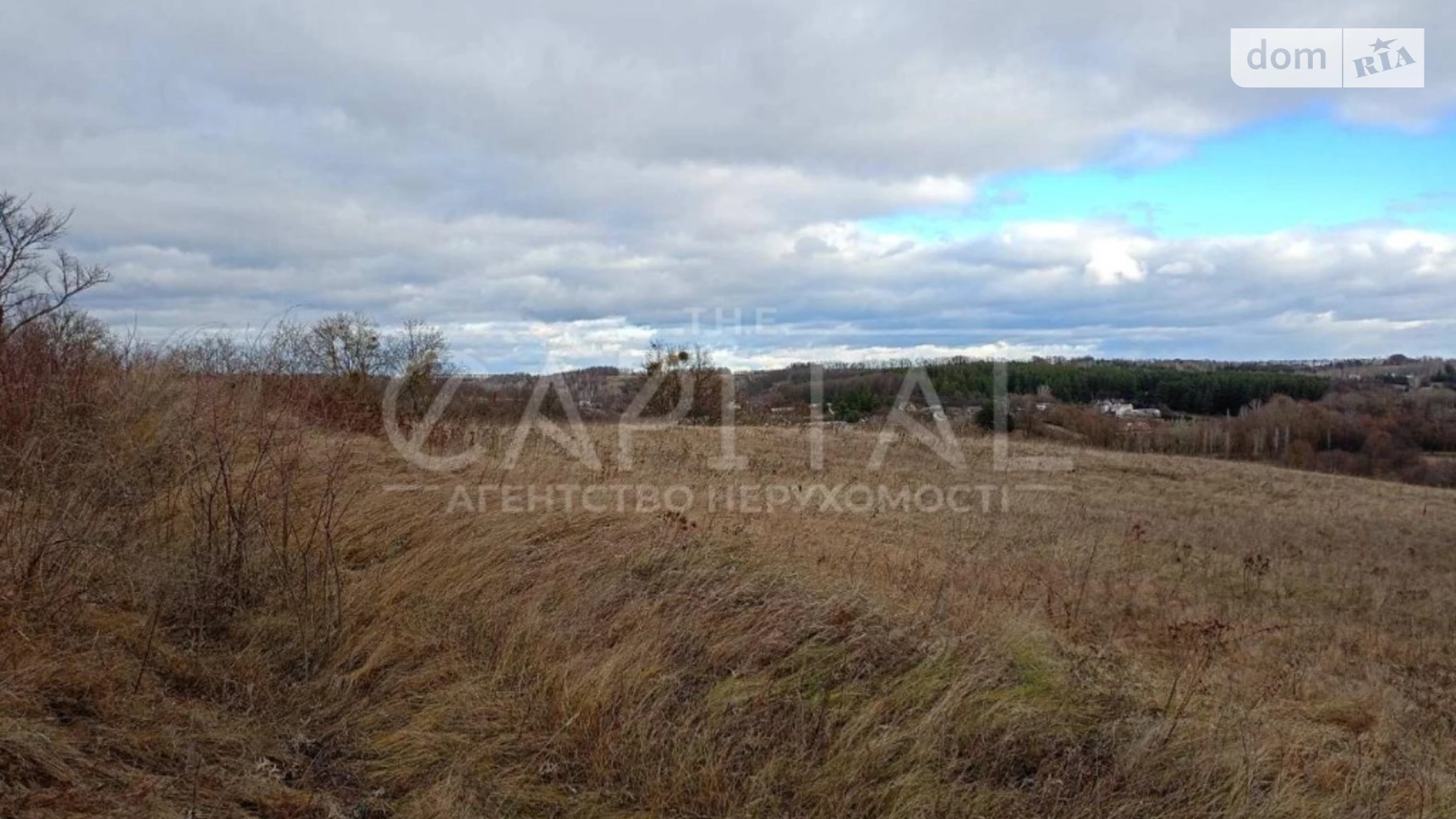 ул. Заречная Великая Бугаевка, цена: 90000 $ - фото 5