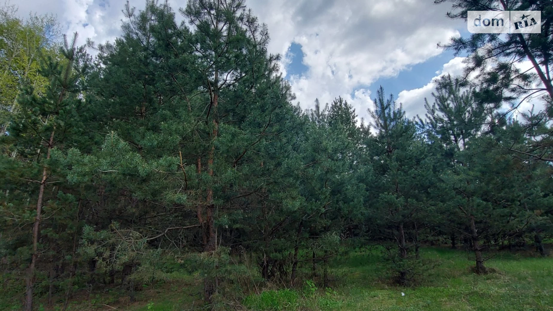 Терентиевка, цена: 2700 $ - фото 5