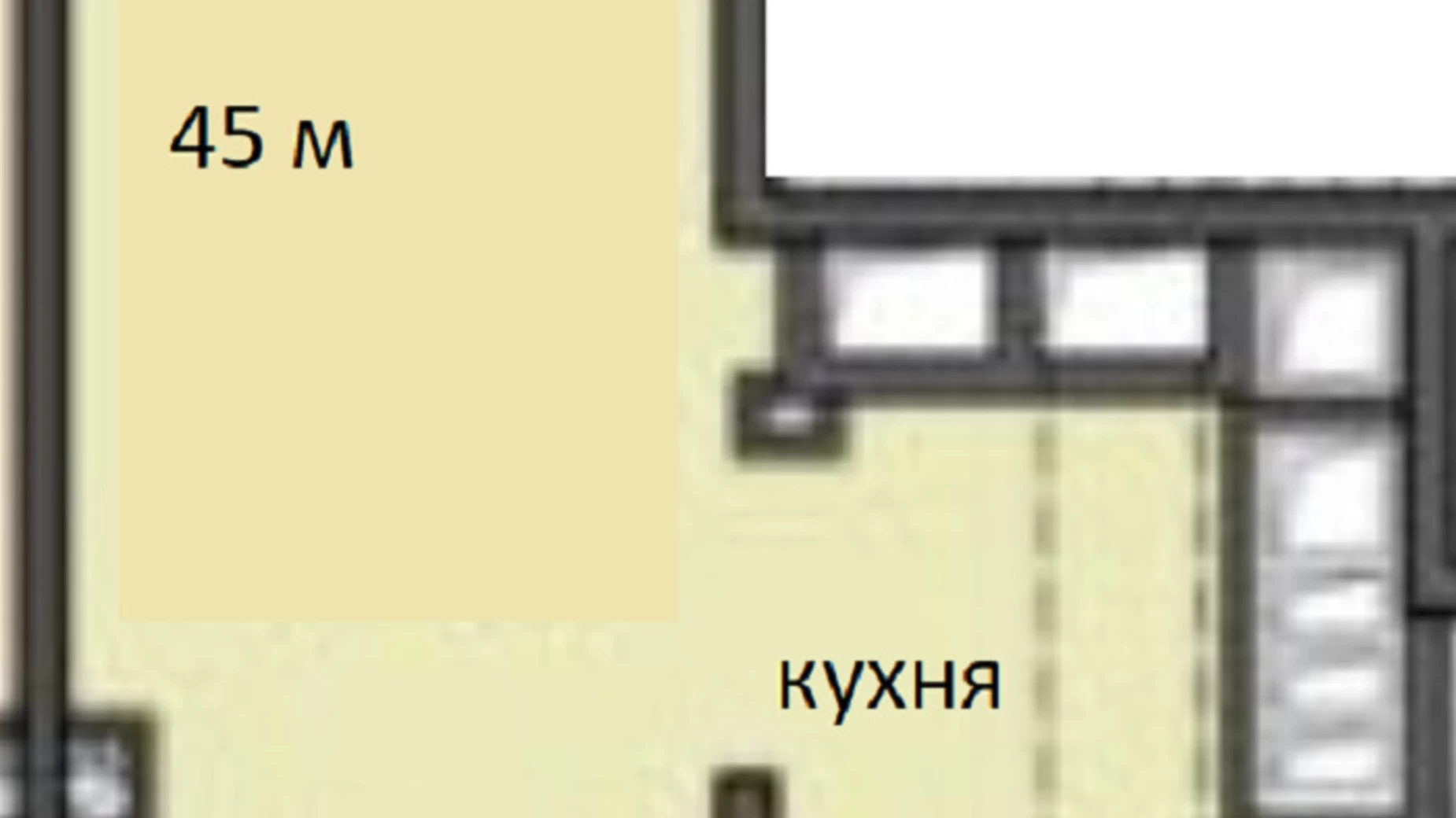 Продается 1-комнатная квартира 45 кв. м в Одессе, ул. Большая Арнаутская - фото 3