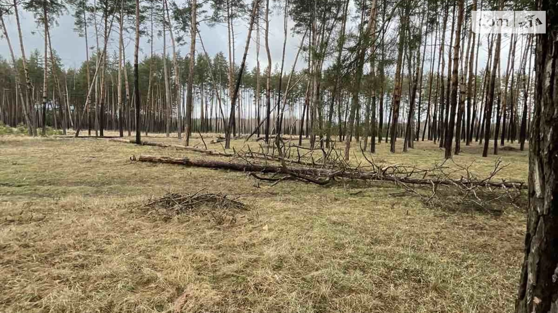 Продается земельный участок 0.3313 соток в Черкасской области, ул. Чайковского