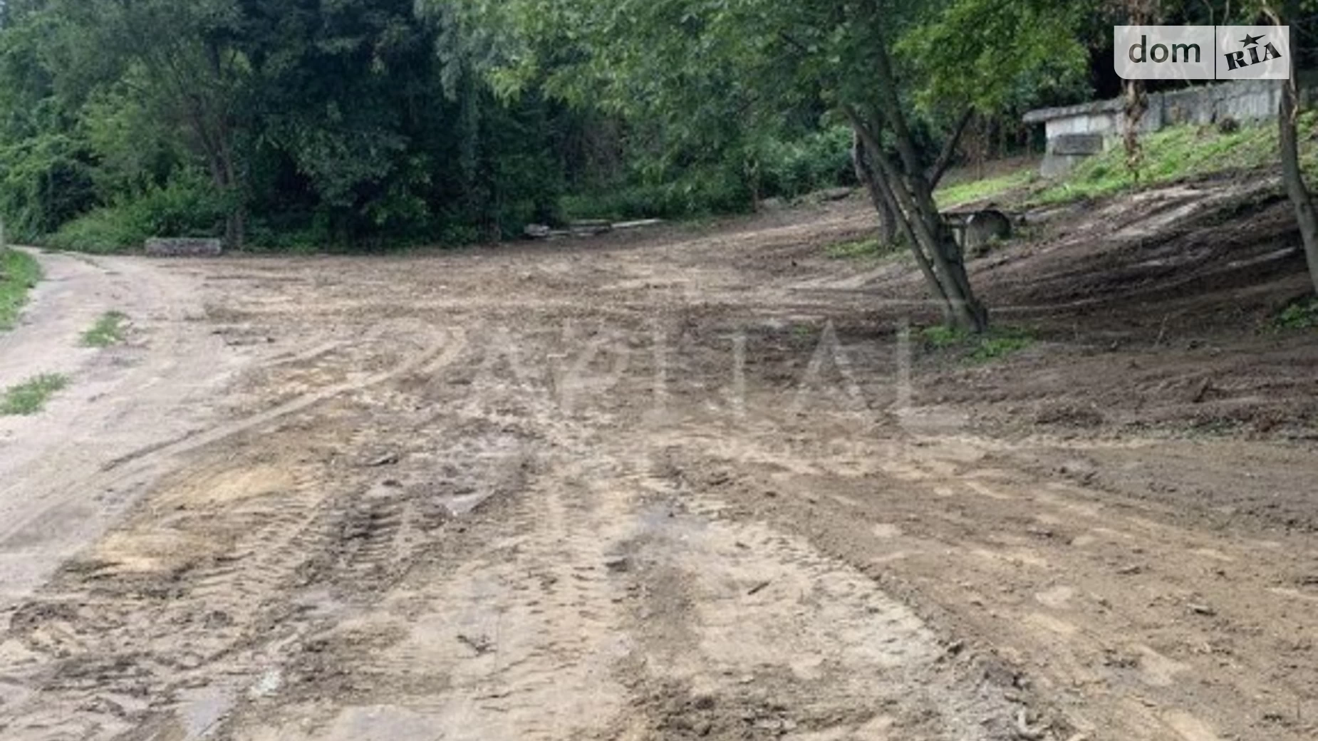 Продається земельна ділянка 80 соток у Київській області, цена: 165000 $ - фото 3