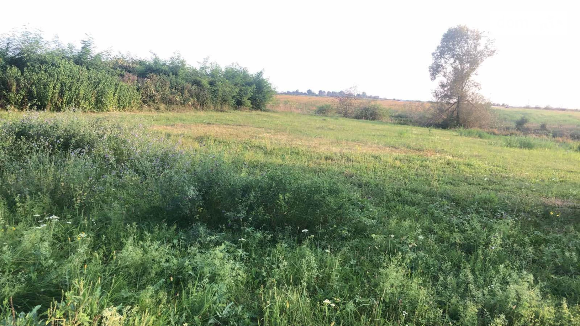 Продается земельный участок 0.1627 соток в Закарпатской области, цена: 12999 $ - фото 2