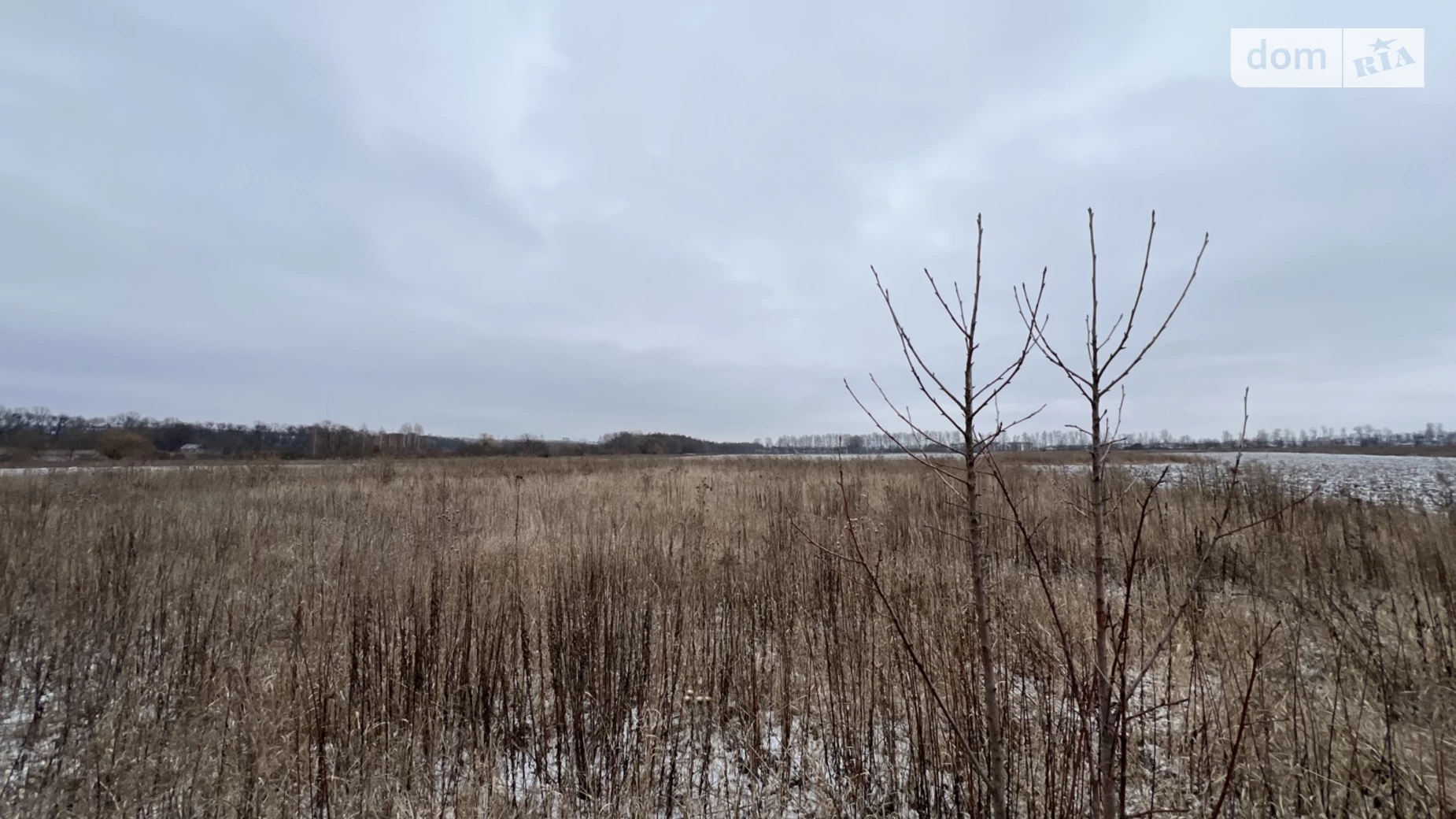 ул. Дружбы Березина, цена: 30000 $ - фото 3