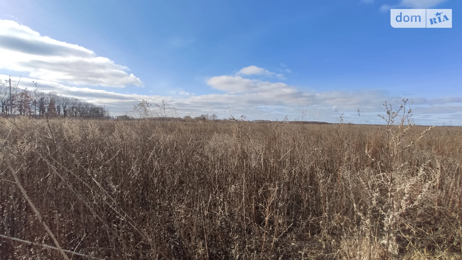 вул. Центральна(Мічуріна) Агрономічне, цена: 14000 $ - фото 2