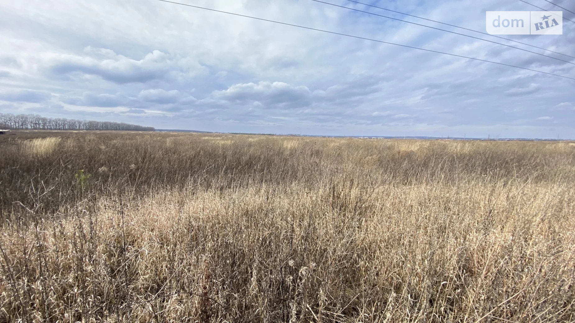 пров. Весняний Агрономічне, цена: 16000 $ - фото 3