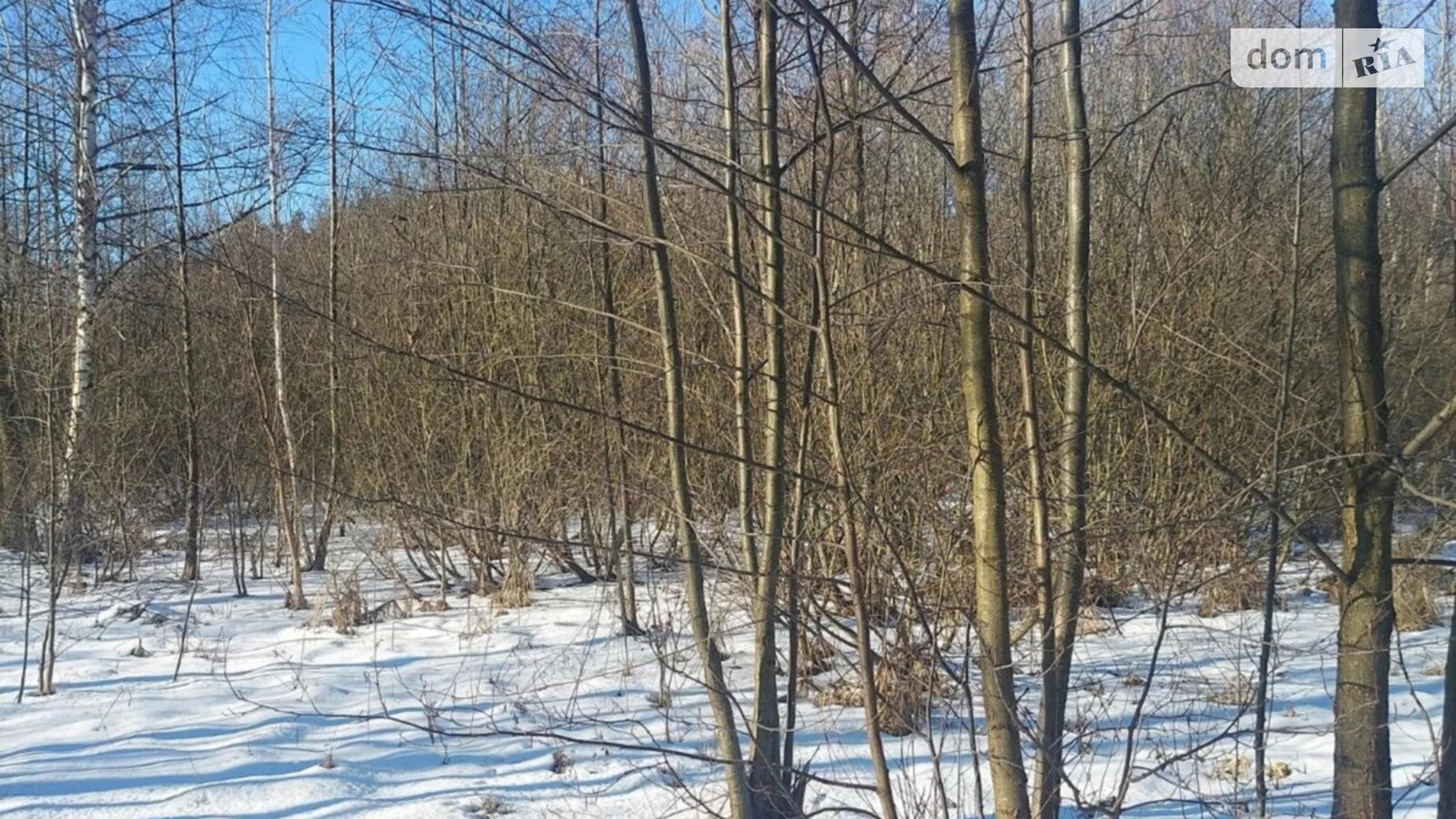 Продається земельна ділянка 12.06 соток у Житомирській області, цена: 7800 $ - фото 5
