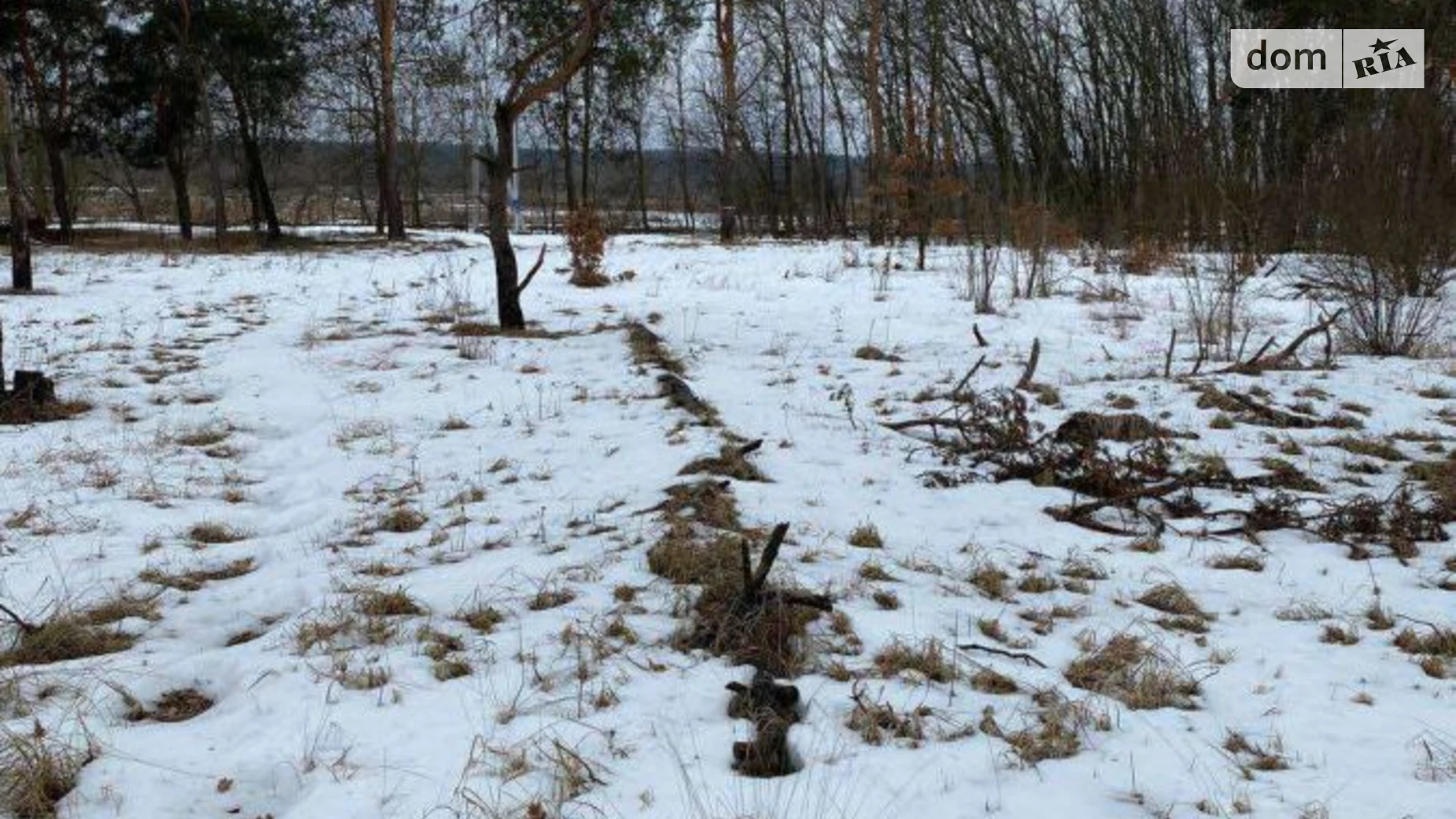 Продається земельна ділянка 5 соток у Київській області, цена: 37500 $ - фото 3