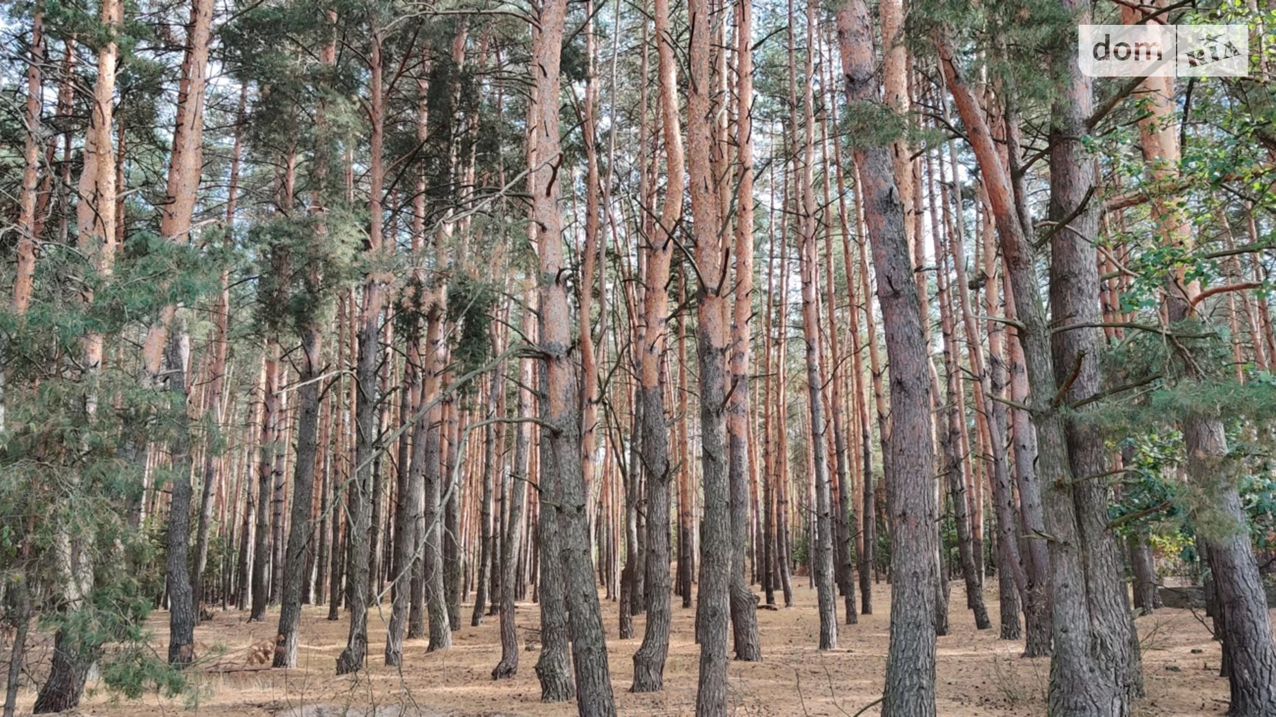 Великая Солтановка, цена: 125000 $ - фото 3