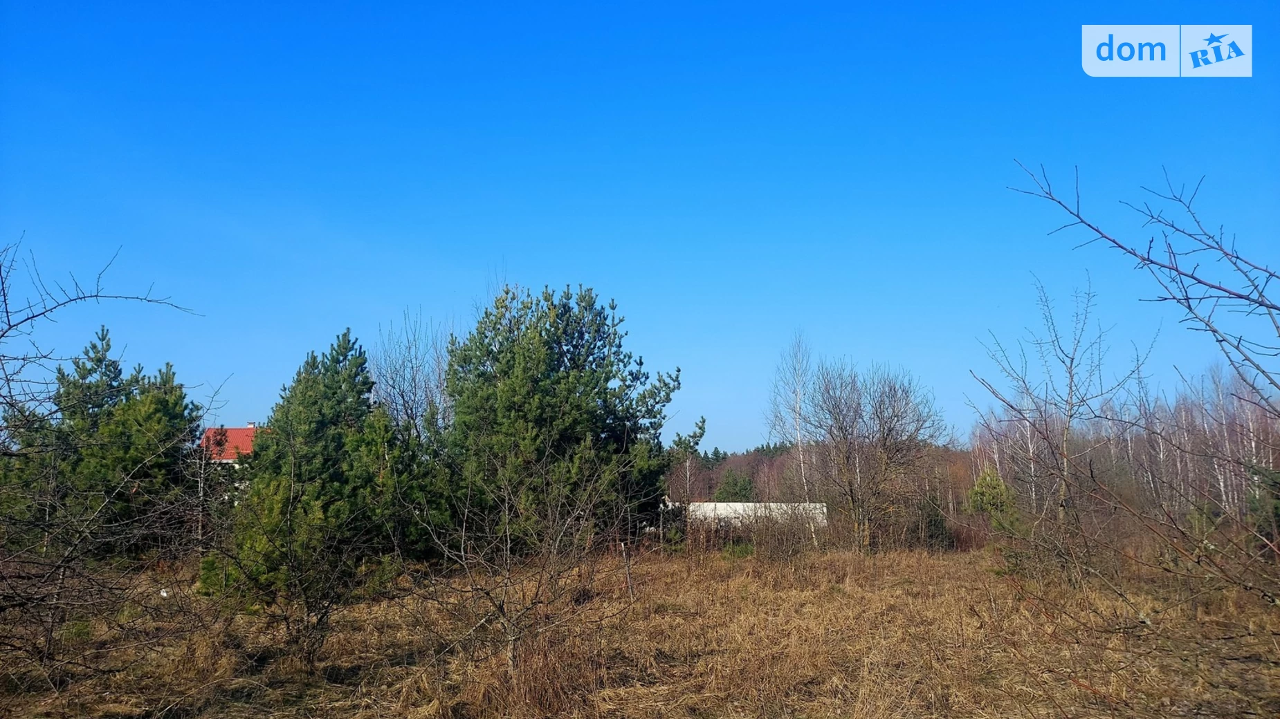 Продається земельна ділянка 13 соток у Житомирській області, цена: 11000 $ - фото 5