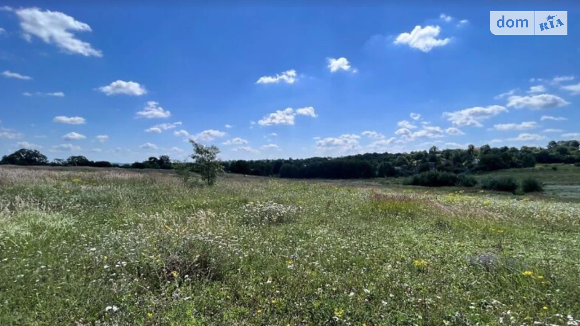 ул. Городня Лесовые Гриновцы, цена: 5000 $ - фото 5