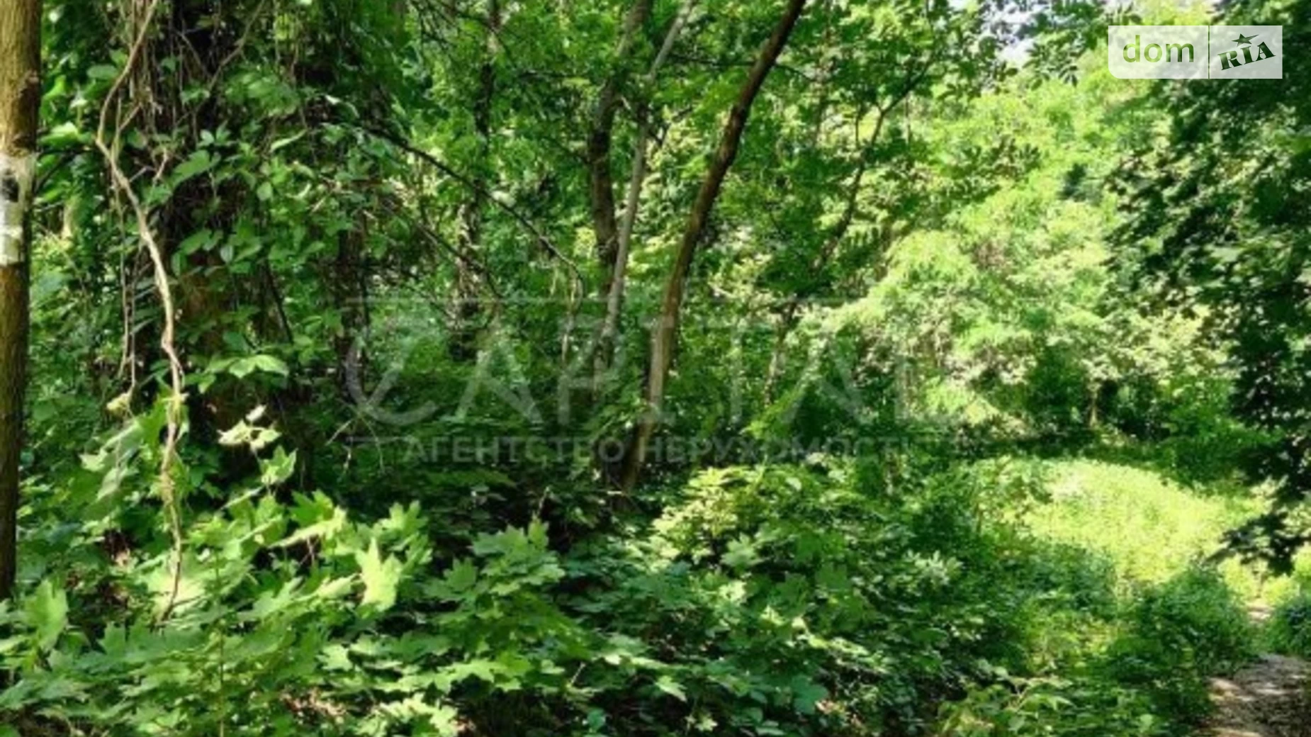 Продається земельна ділянка 10 соток у Київській області, цена: 105000 $ - фото 5