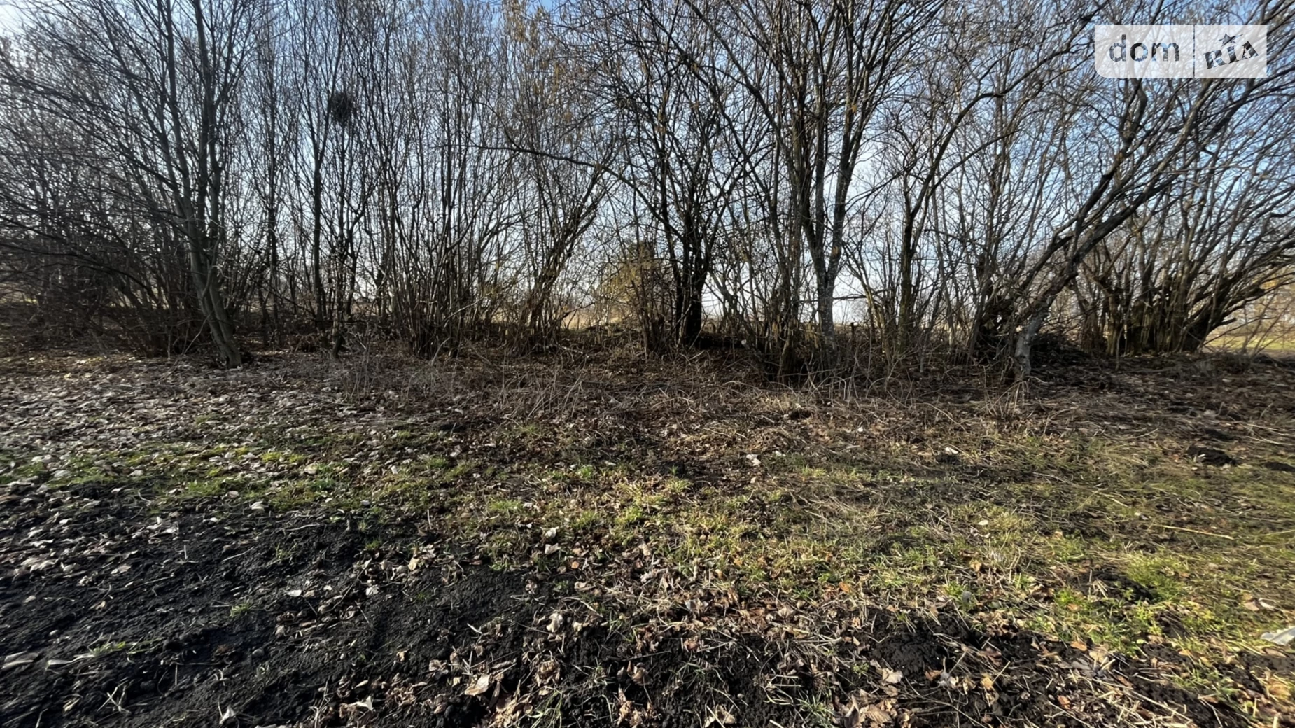 Продается земельный участок 7.4 соток в Хмельницкой области, цена: 7000 $ - фото 4