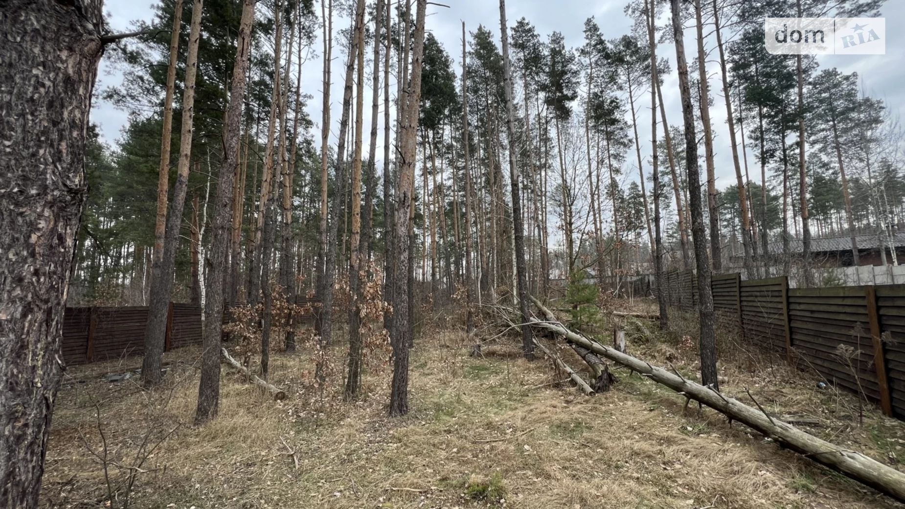 Продається земельна ділянка 13.5 соток у Житомирській області, цена: 29900 $ - фото 3