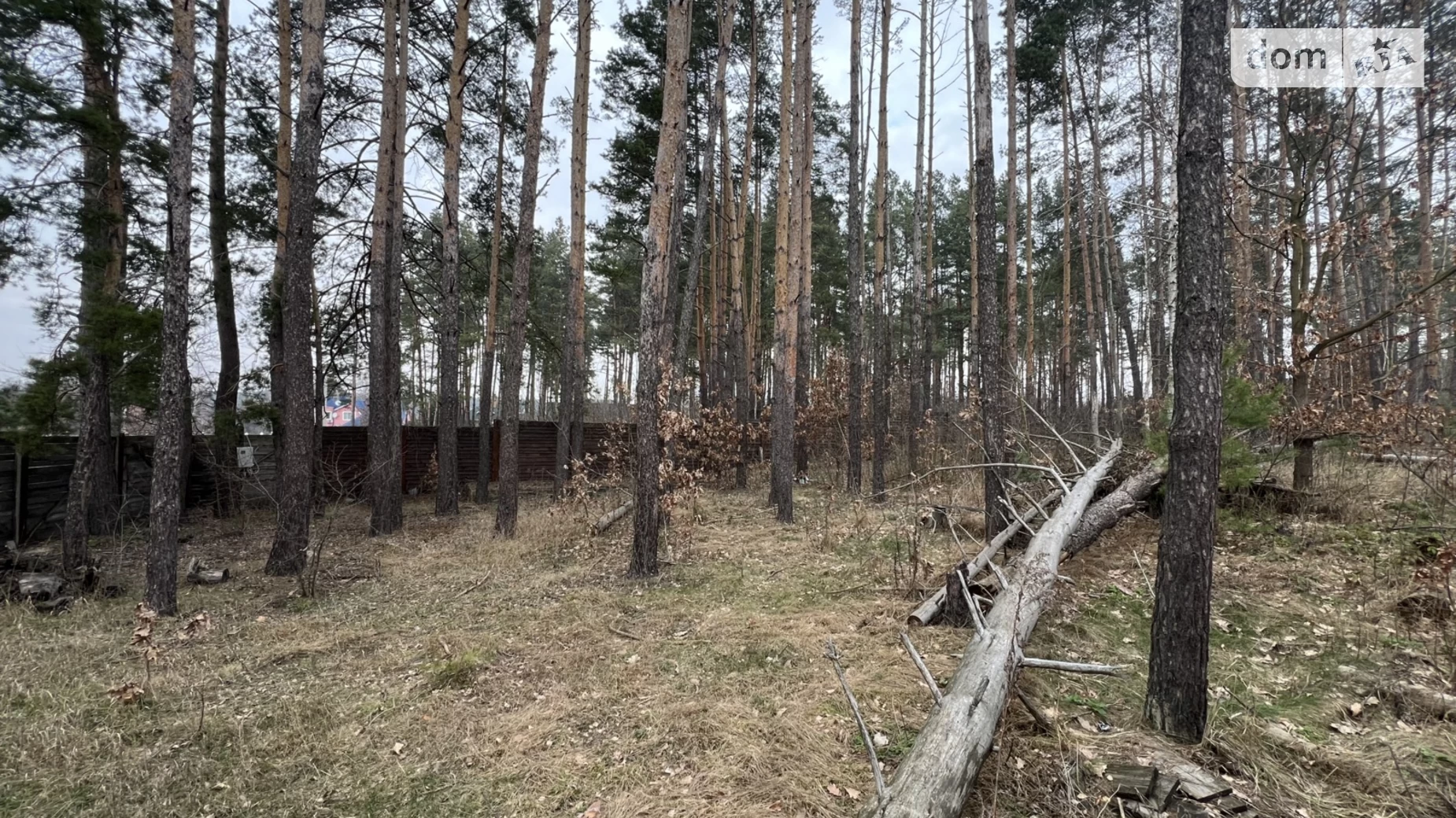 Продається земельна ділянка 13.5 соток у Житомирській області, цена: 29900 $ - фото 5