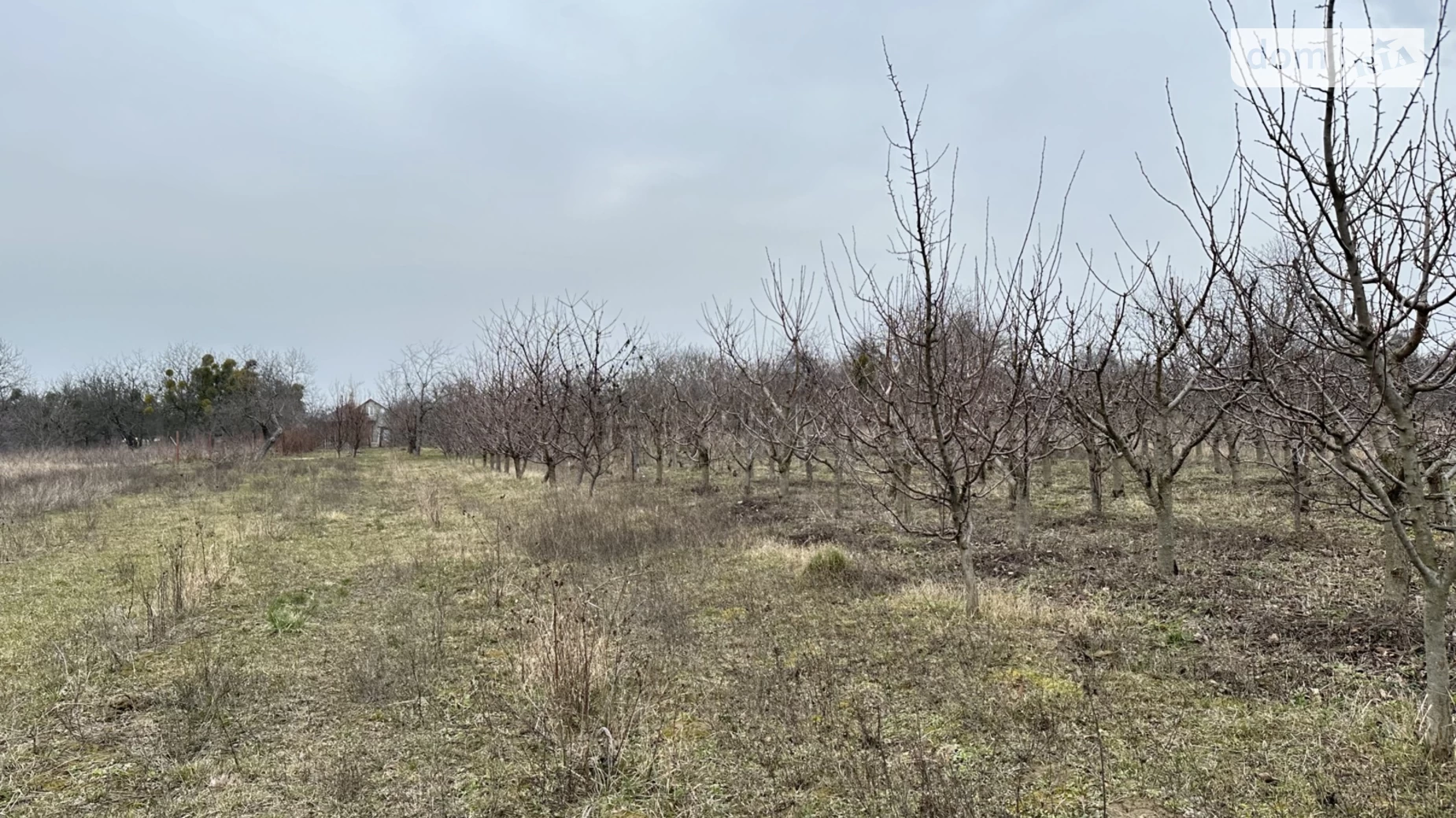 вул. Яремчука Якушинці, цена: 300000 $ - фото 3