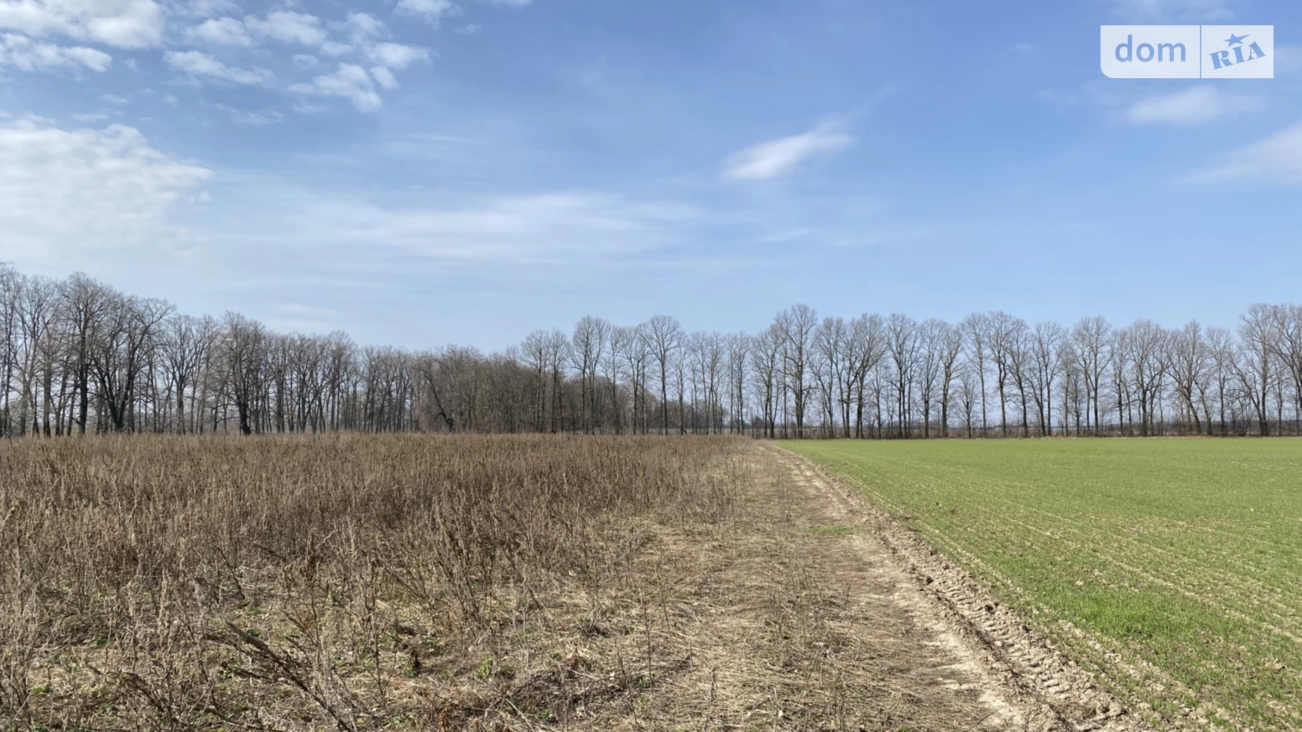 Продається земельна ділянка 6 соток у Вінницькій області, цена: 360000 $ - фото 5